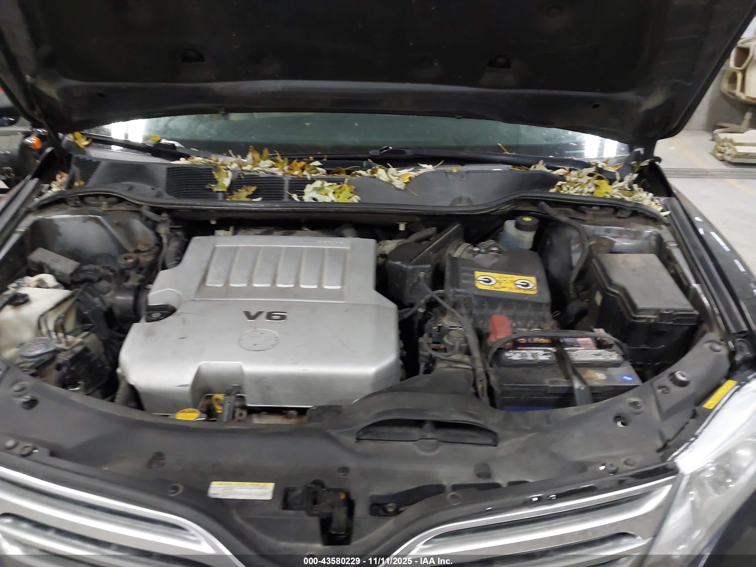 TOYOTA VENZA image 10