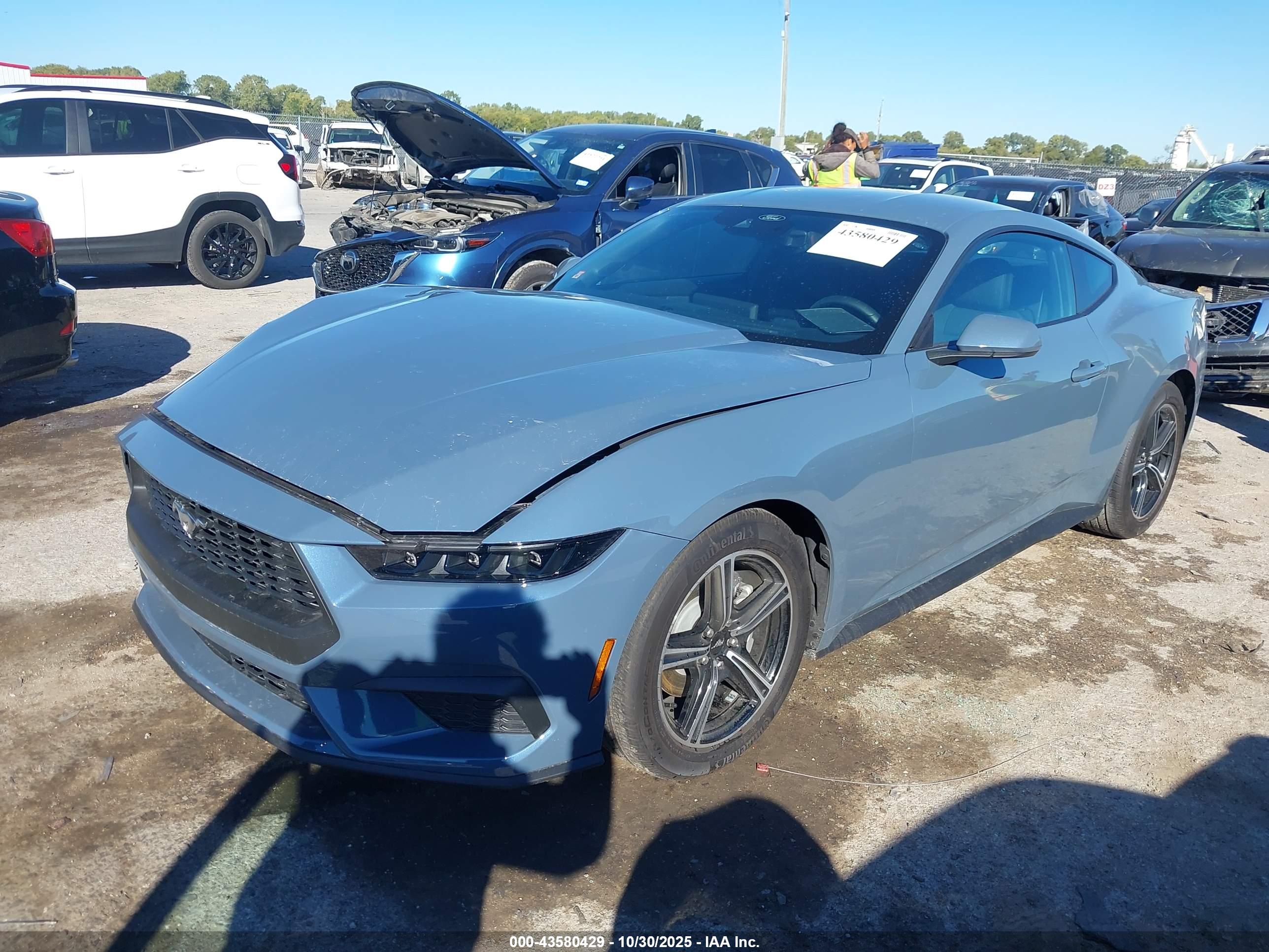 FORD MUSTANG image 2