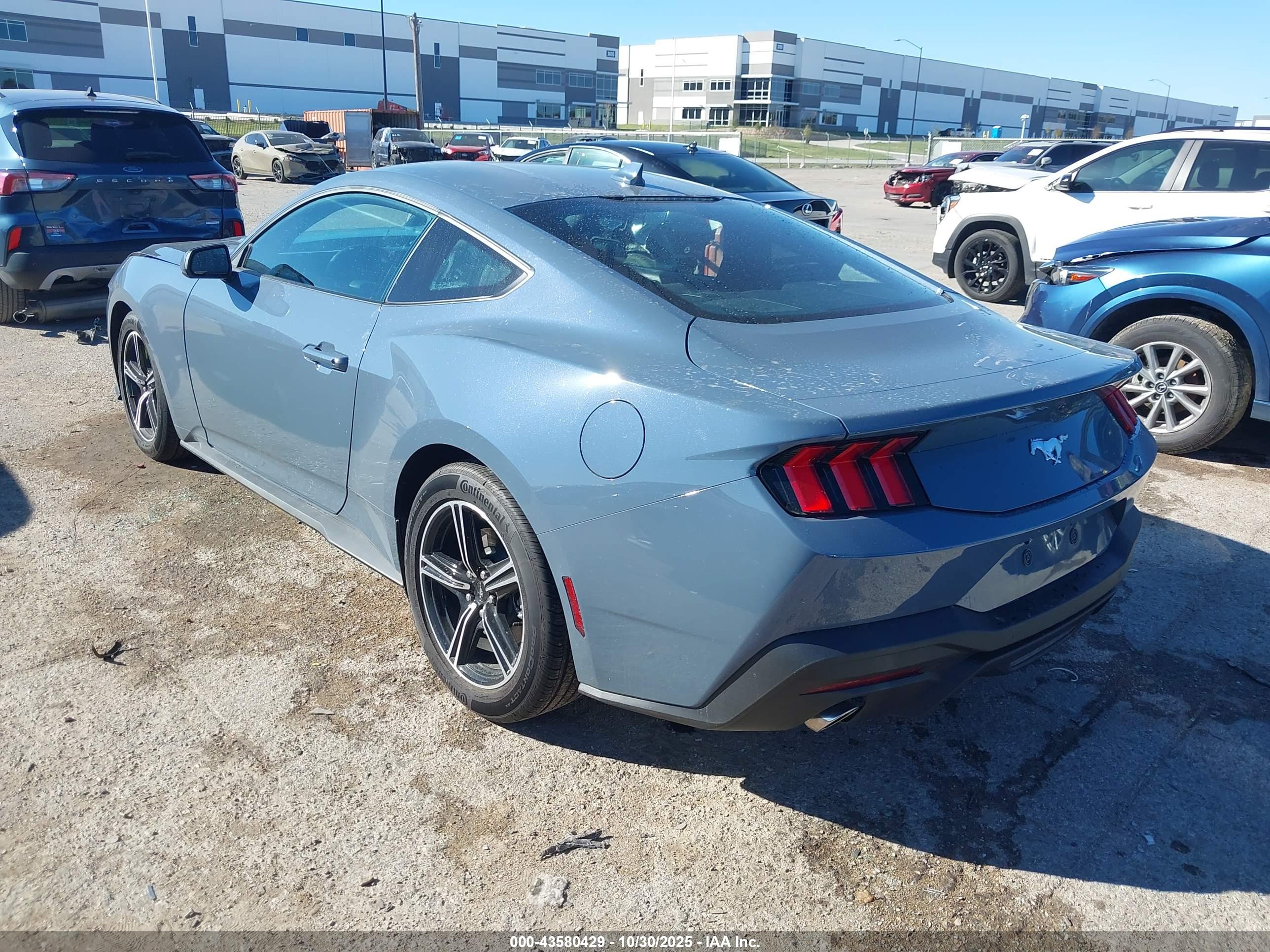 FORD MUSTANG image 3