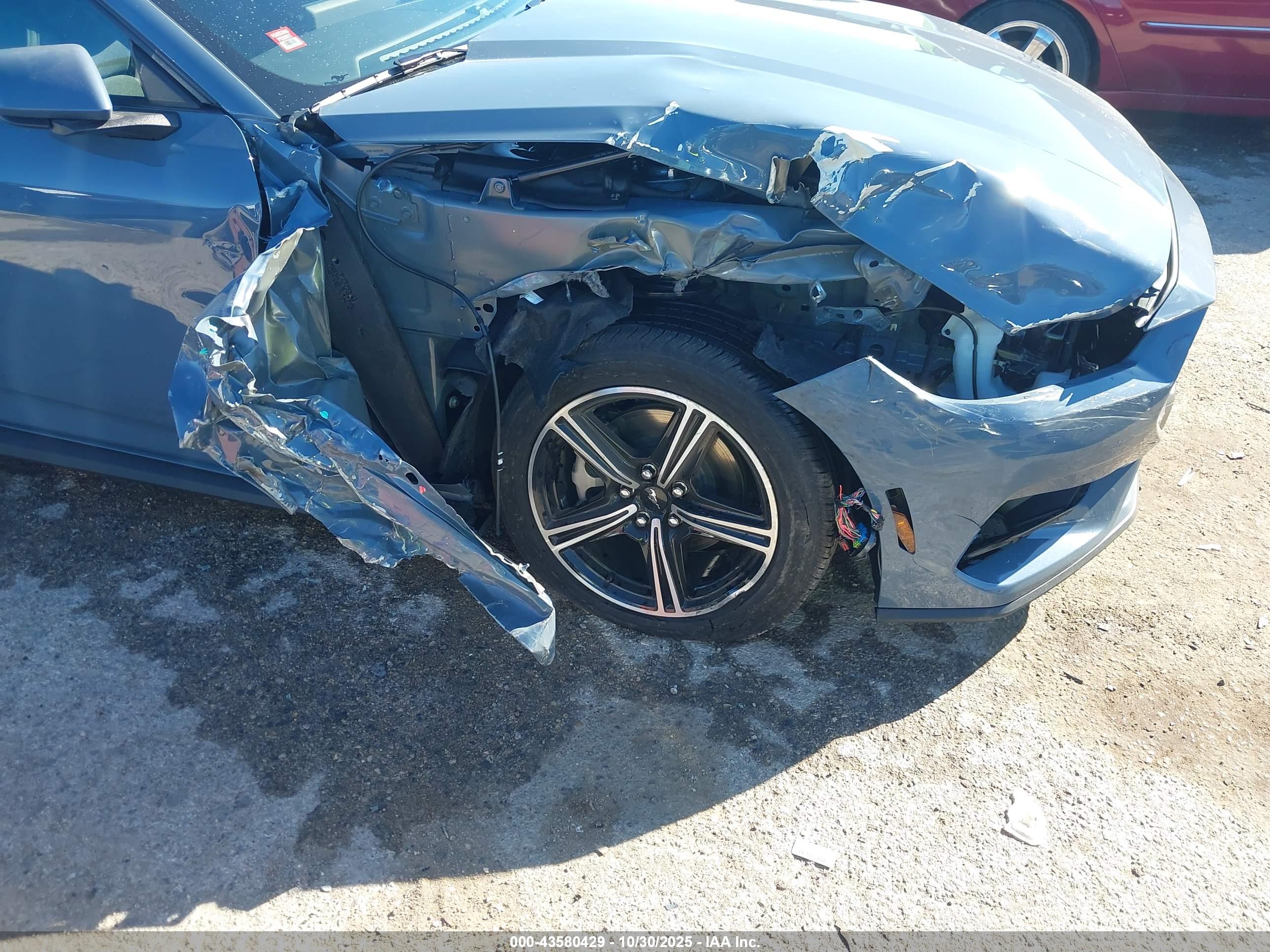 FORD MUSTANG image 6