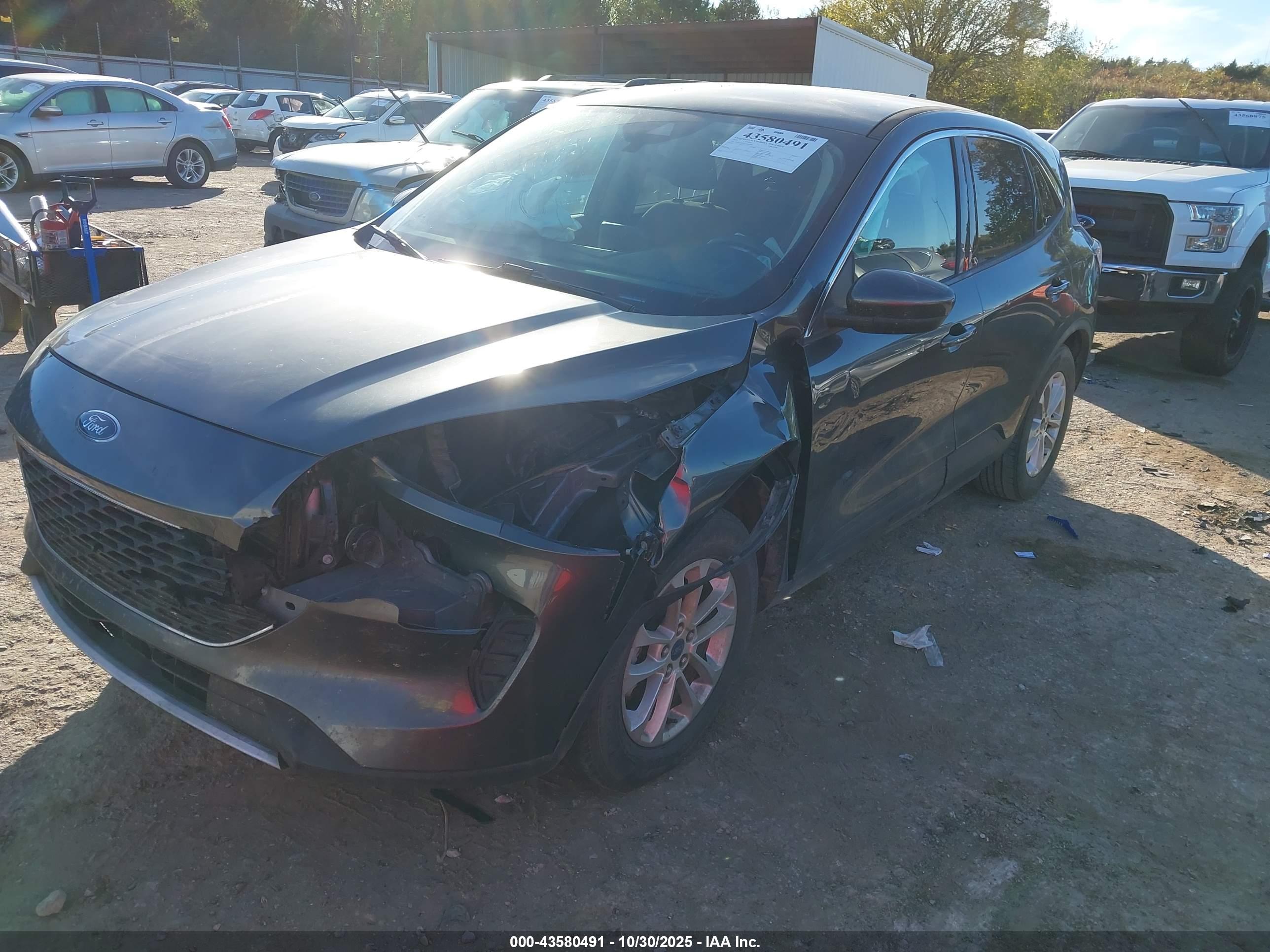 FORD ESCAPE image 2
