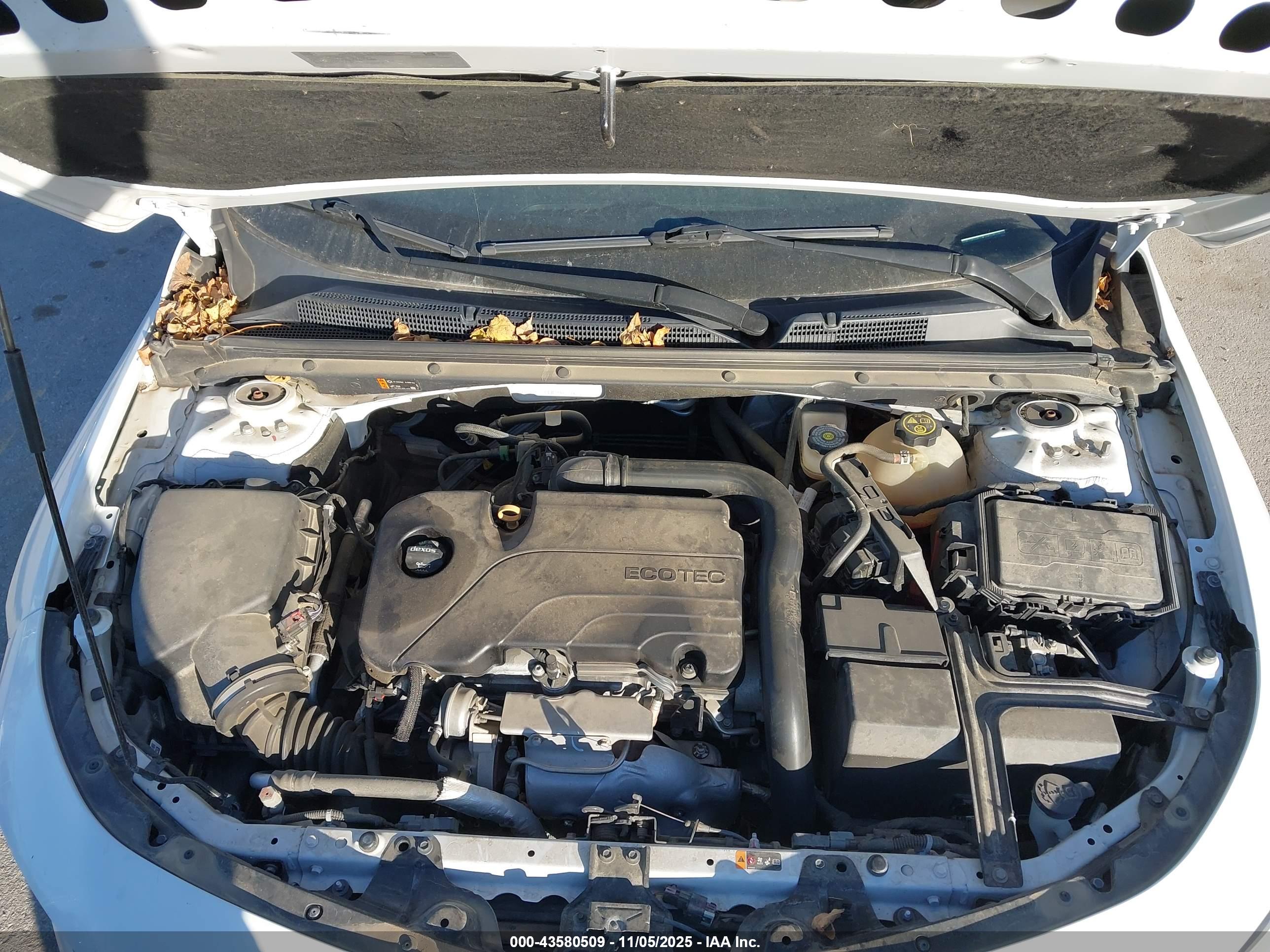 CHEVROLET MALIBU image 10