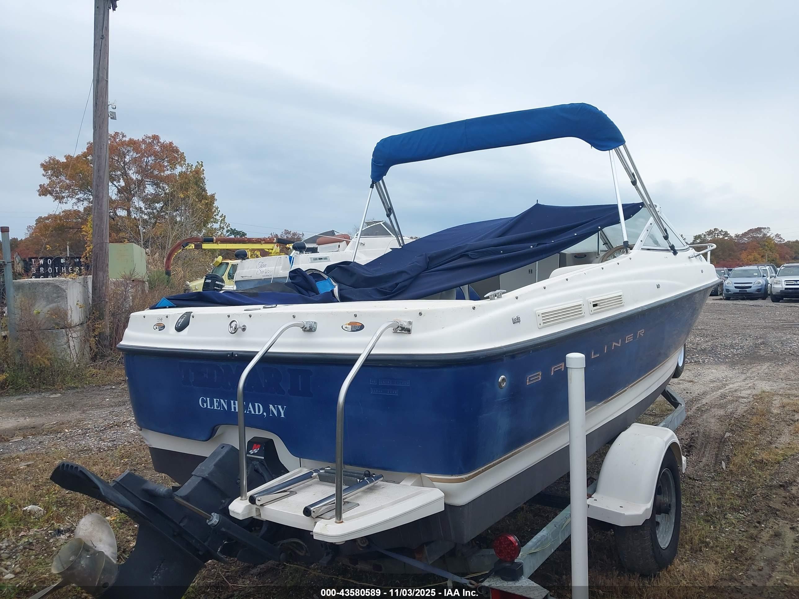 BAYLINER 21 image 3