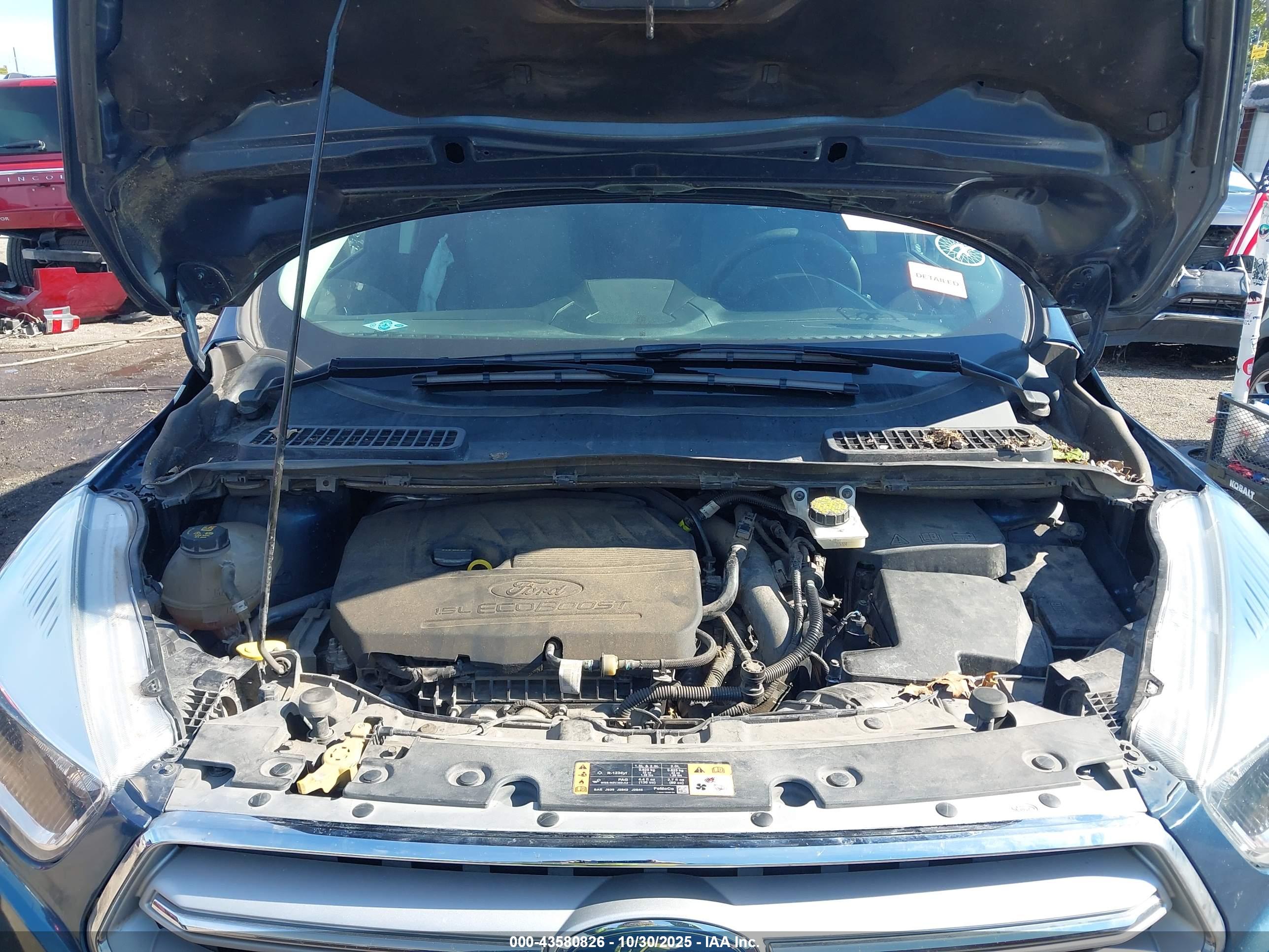 FORD ESCAPE image 10