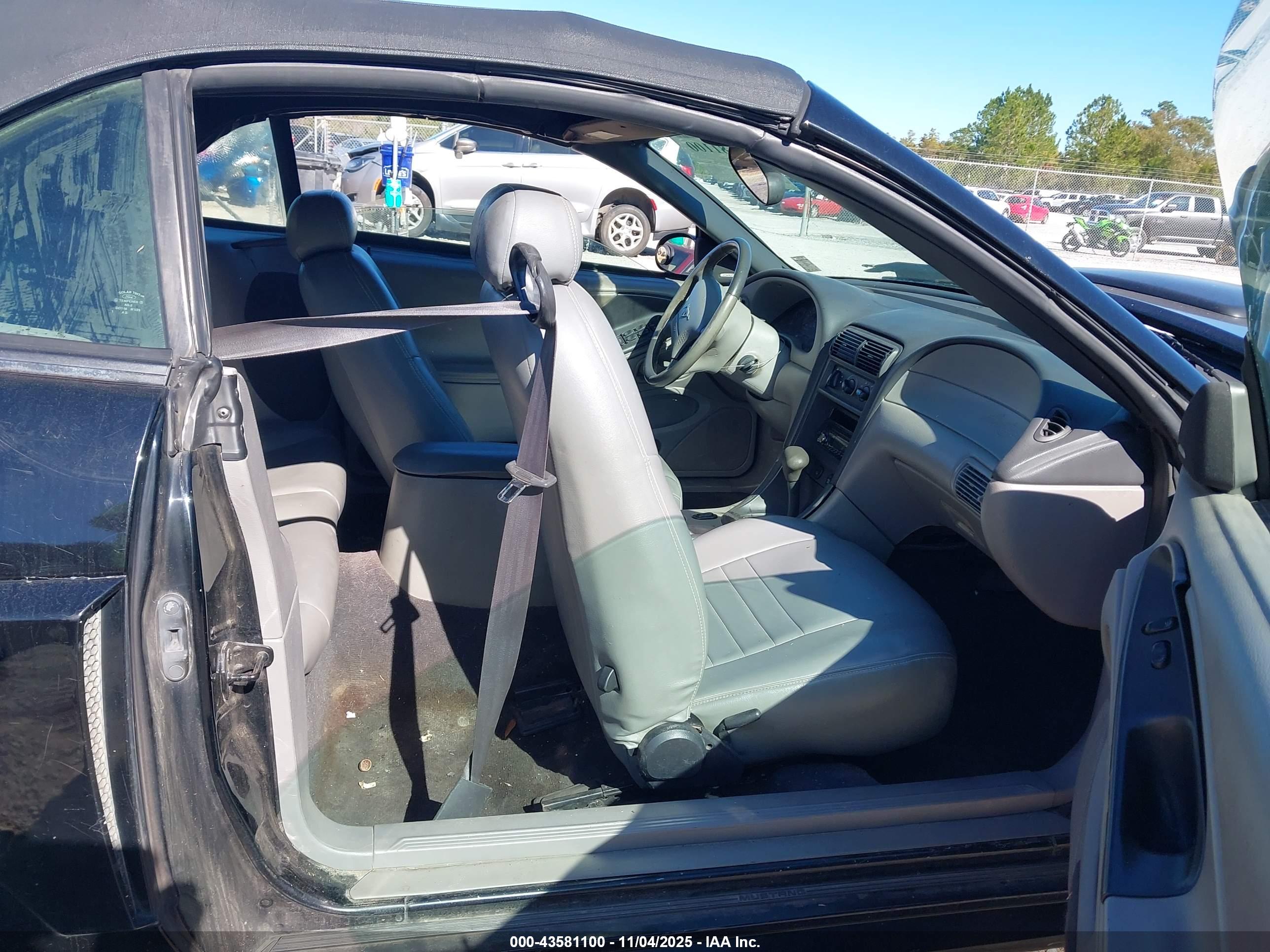FORD MUSTANG image 5