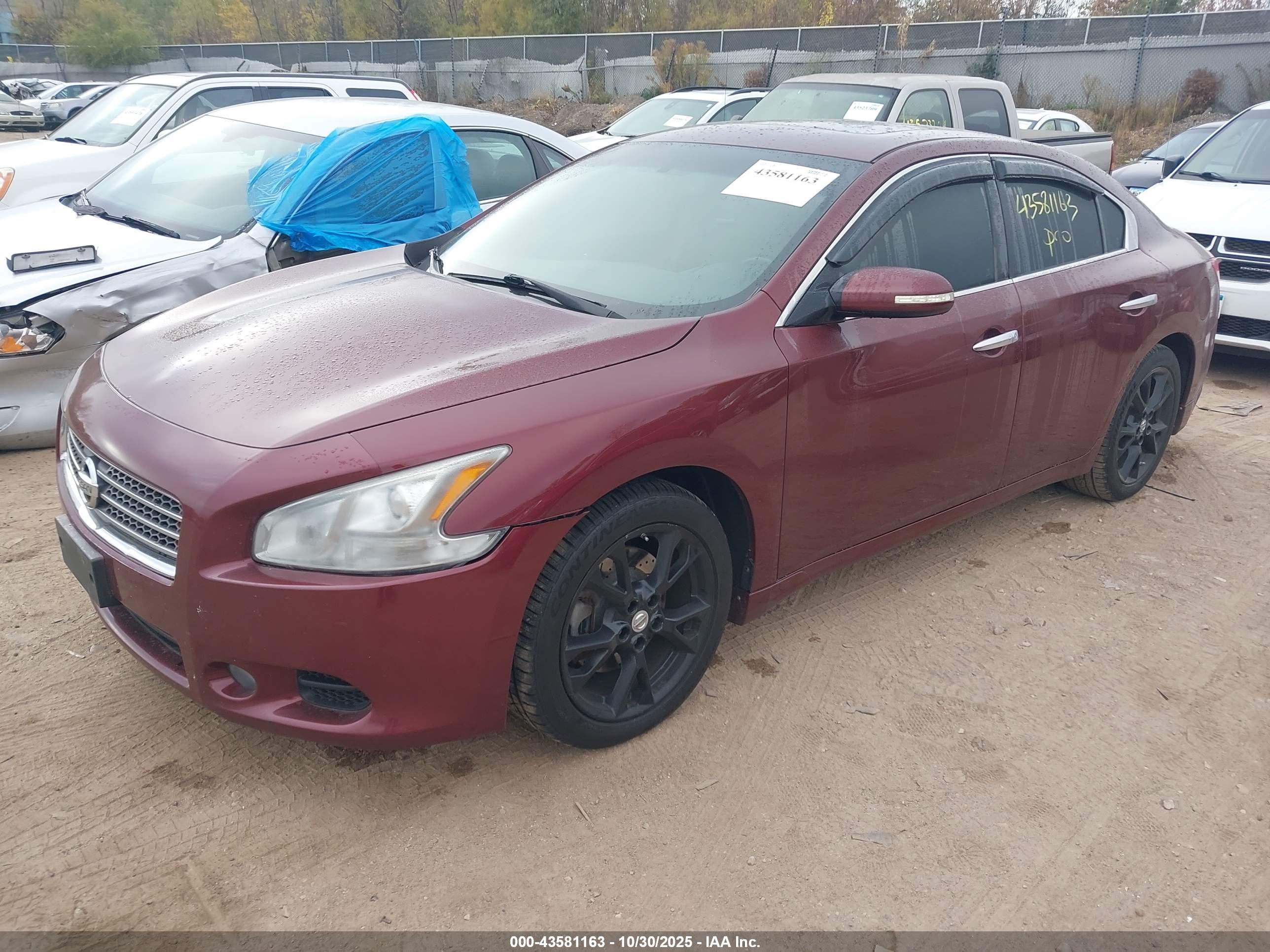 NISSAN MAXIMA image 2