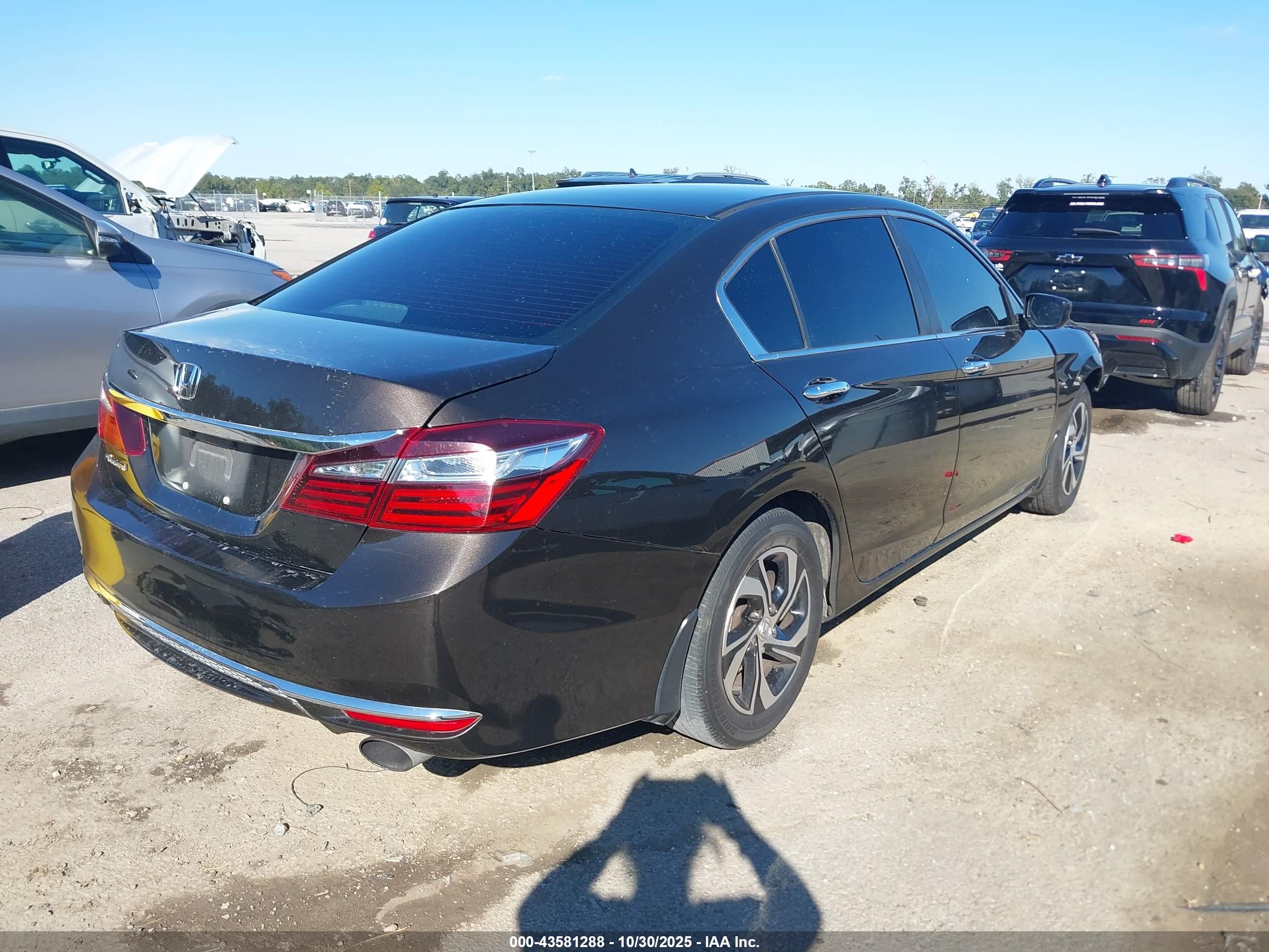 HONDA ACCORD image 4