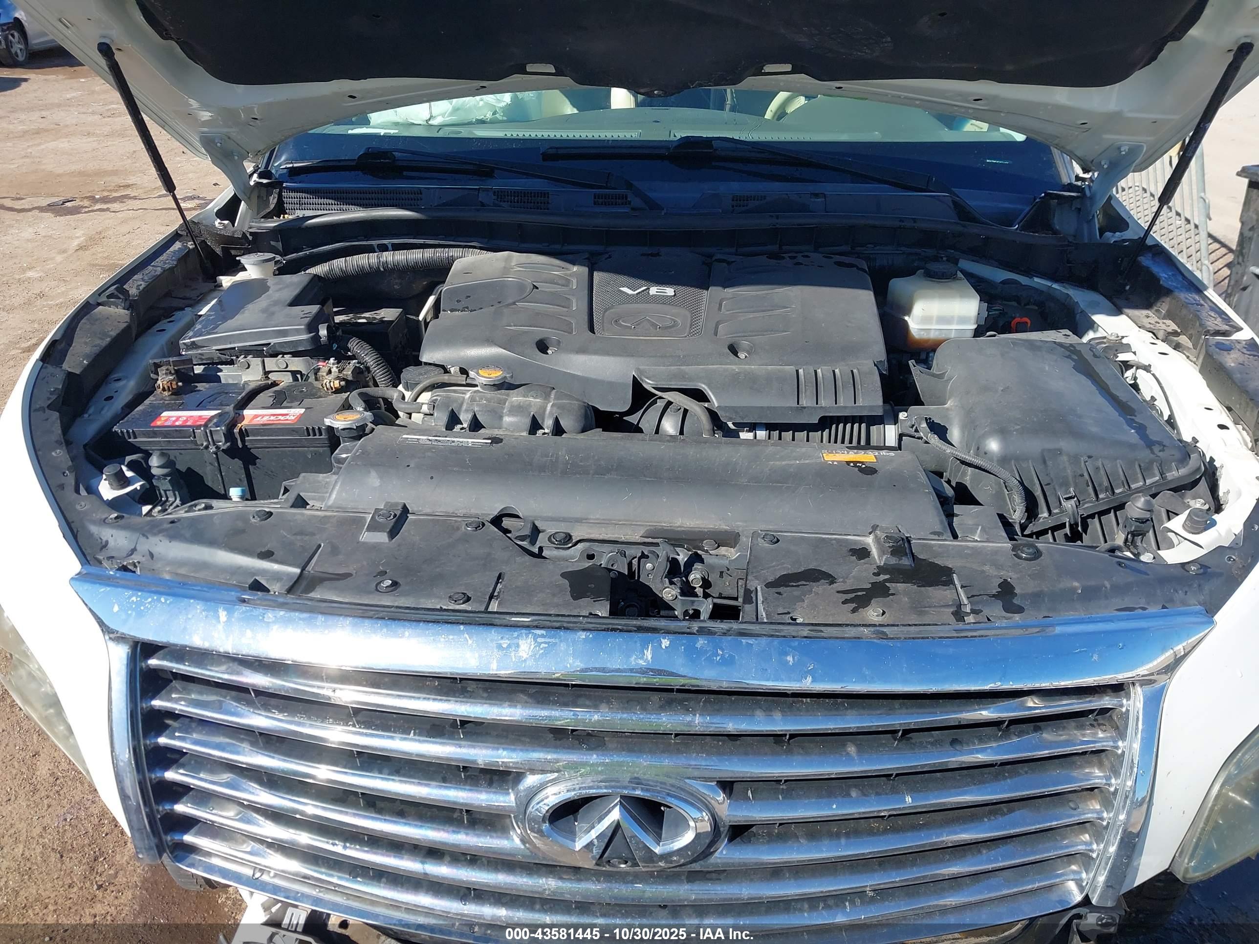INFINITI QX80 image 10