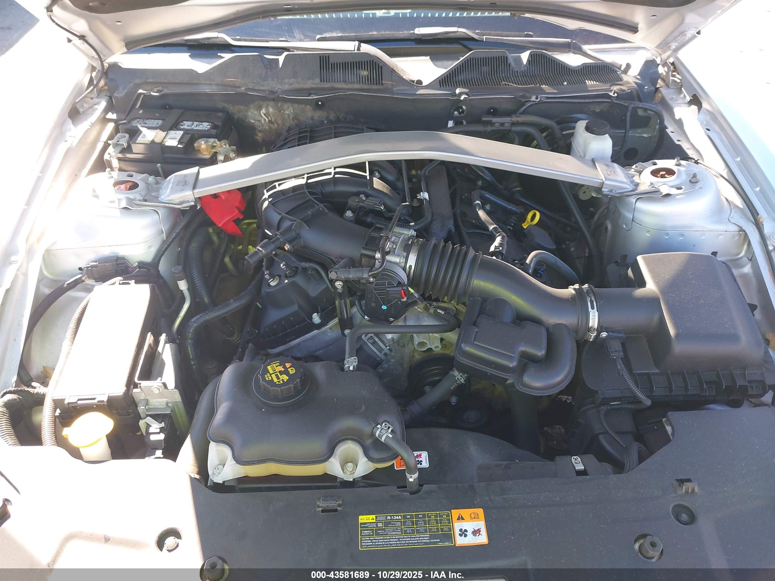 FORD MUSTANG image 10