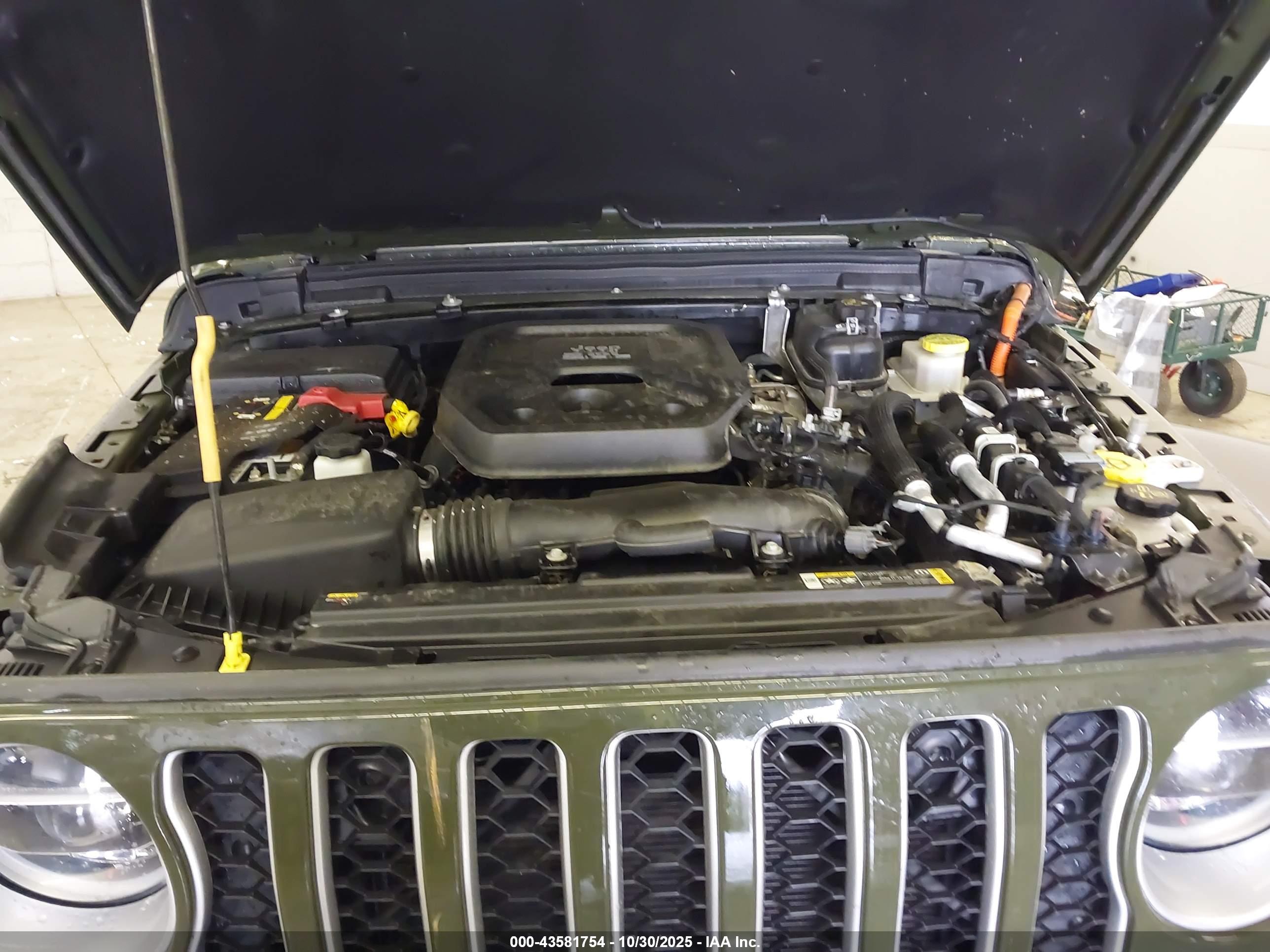 JEEP WRANGLER image 10