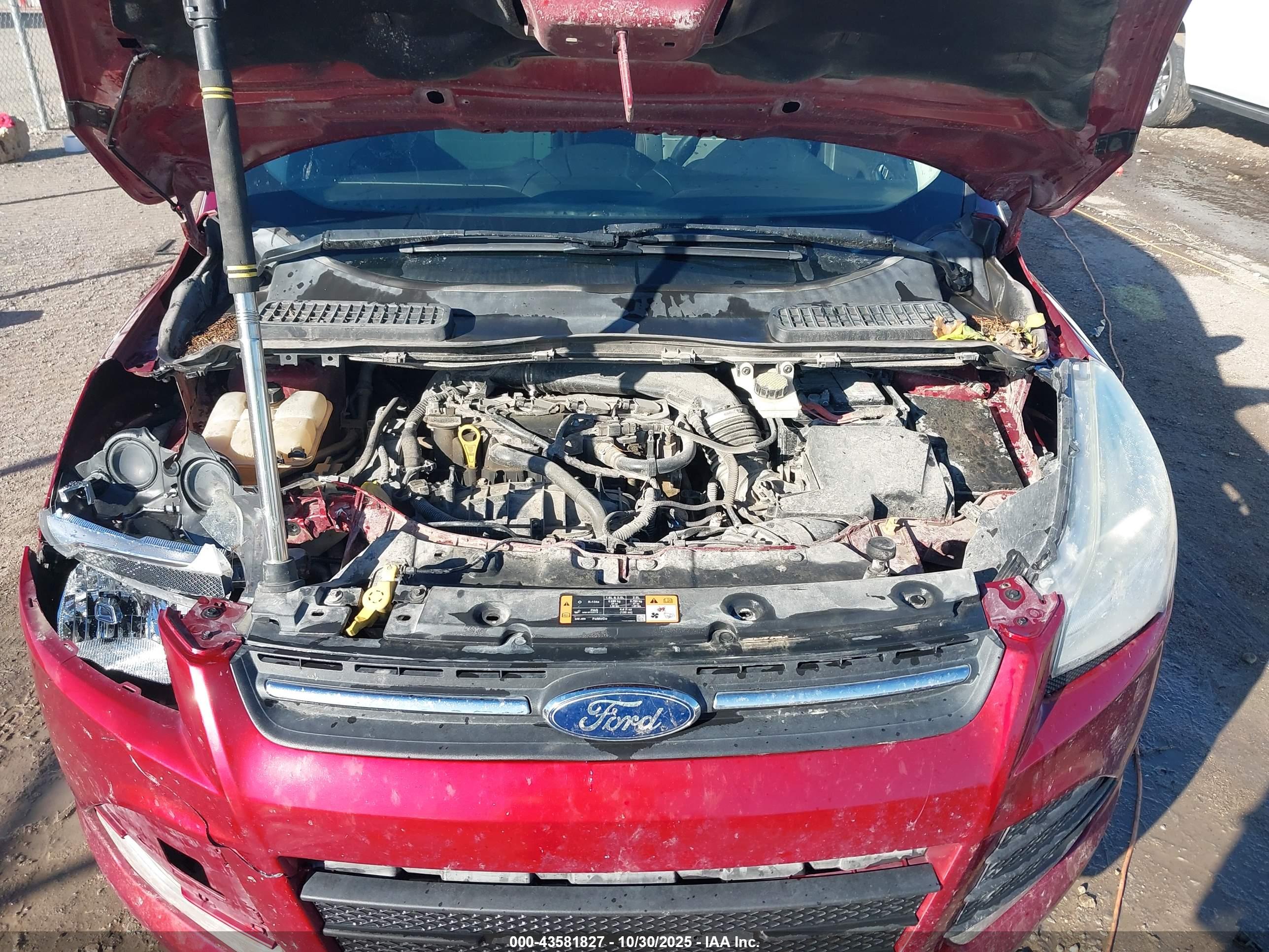 FORD ESCAPE image 10