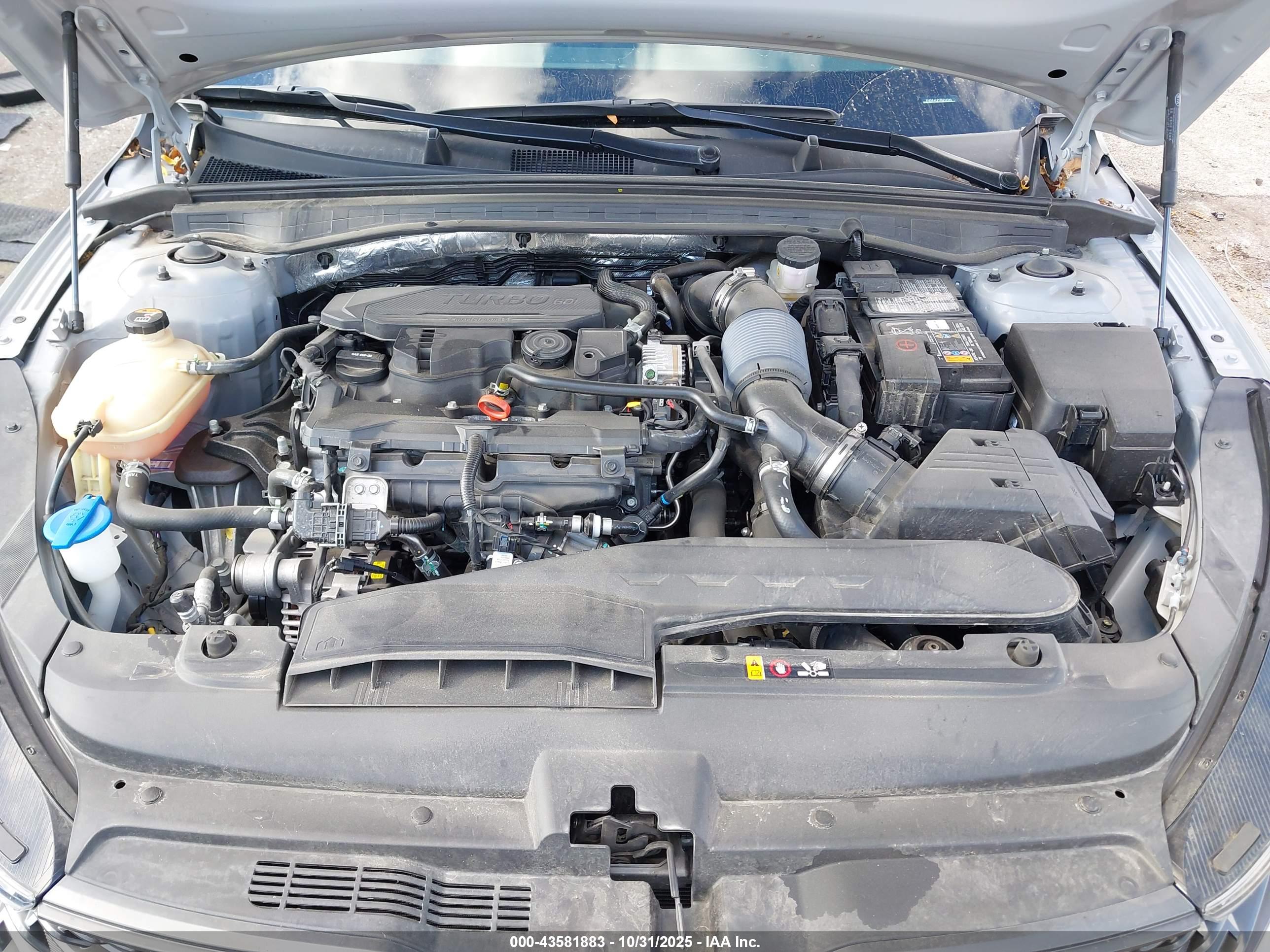 KIA K5 image 10