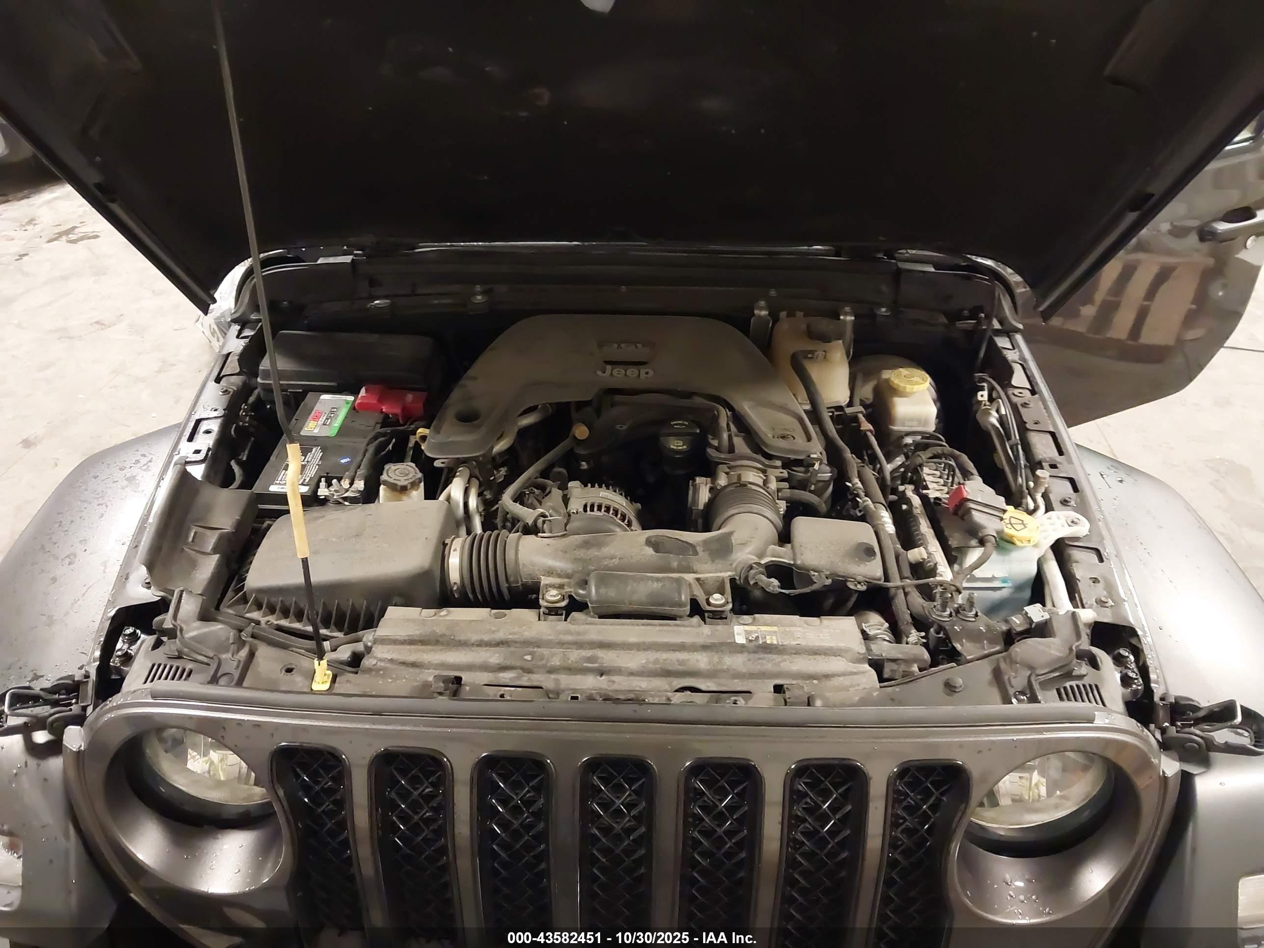 JEEP WRANGLER image 10