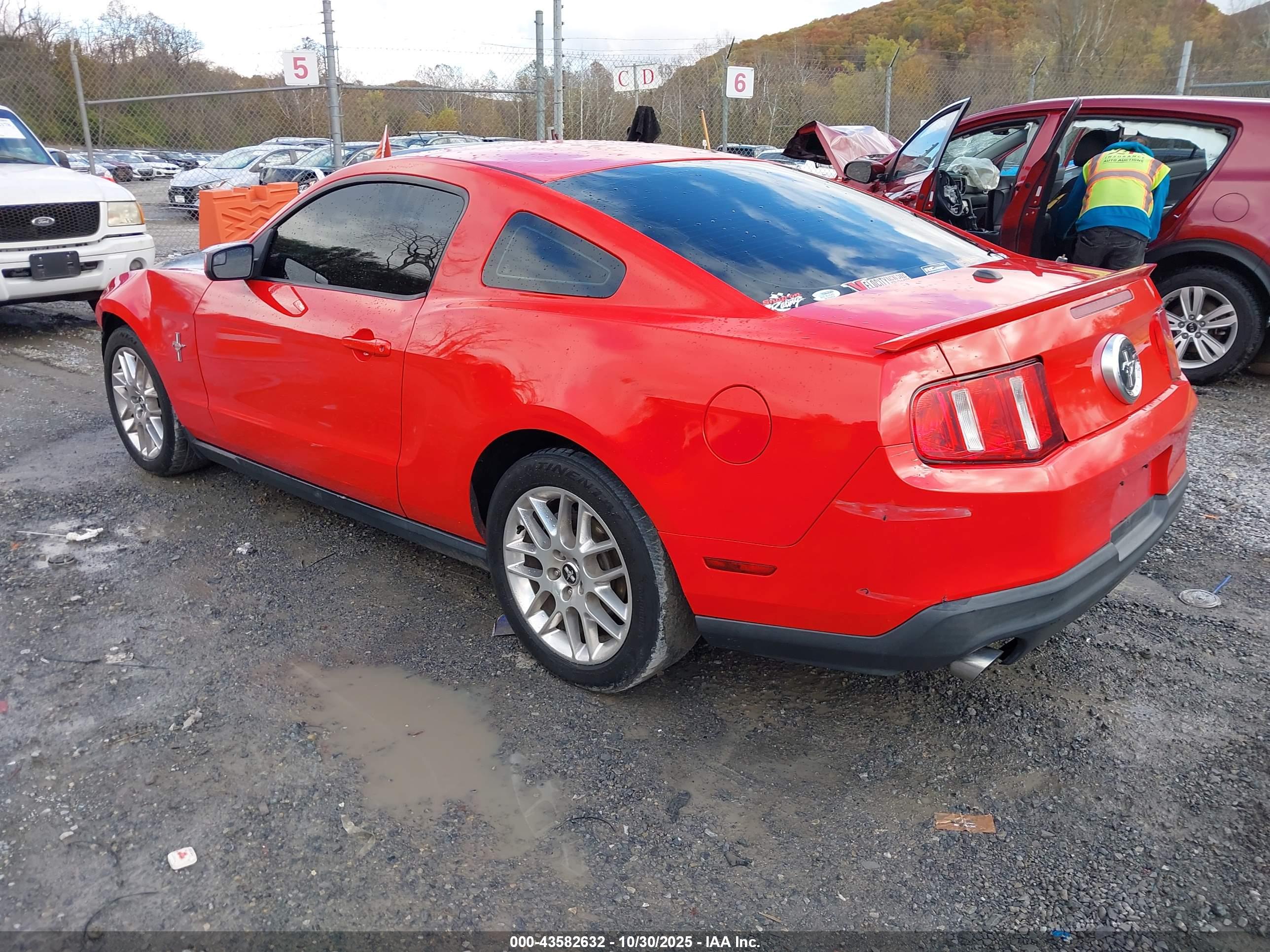 FORD MUSTANG image 3