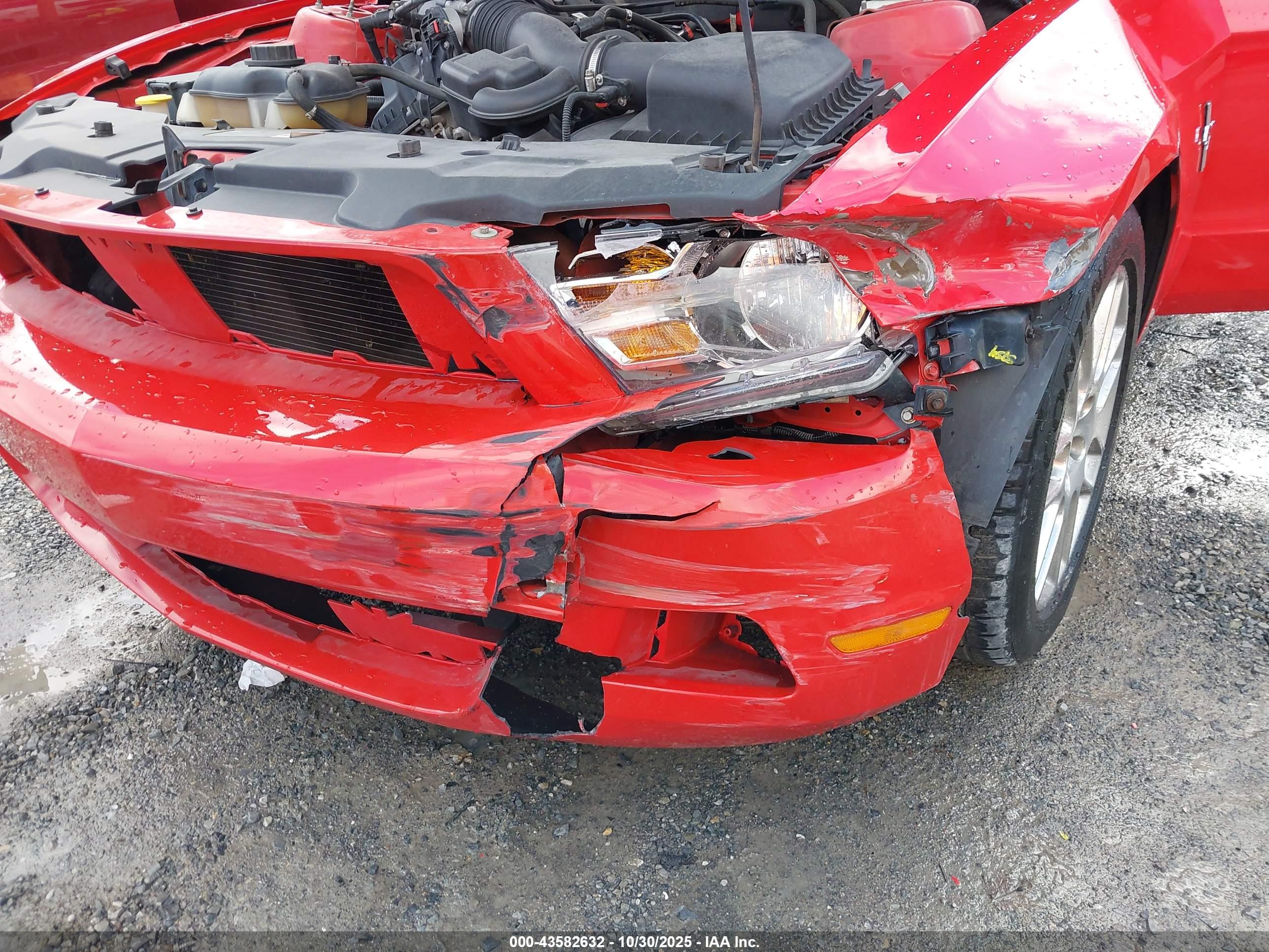 FORD MUSTANG image 6