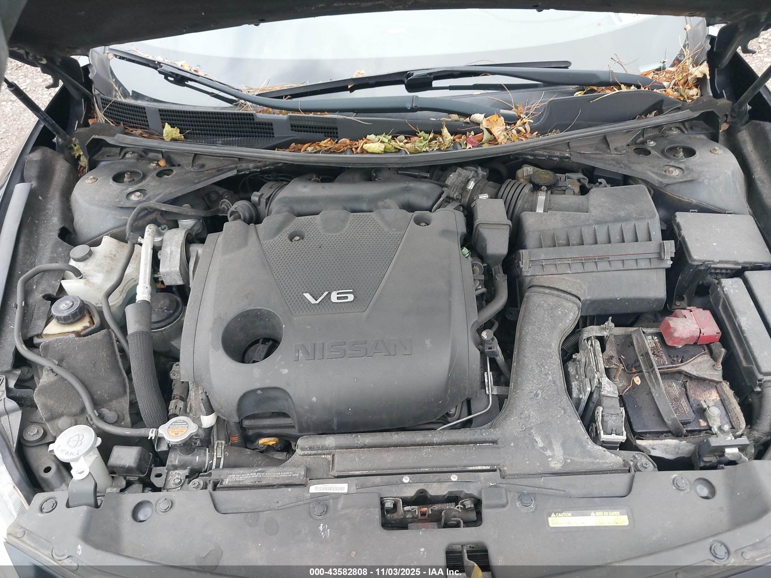NISSAN MAXIMA image 10
