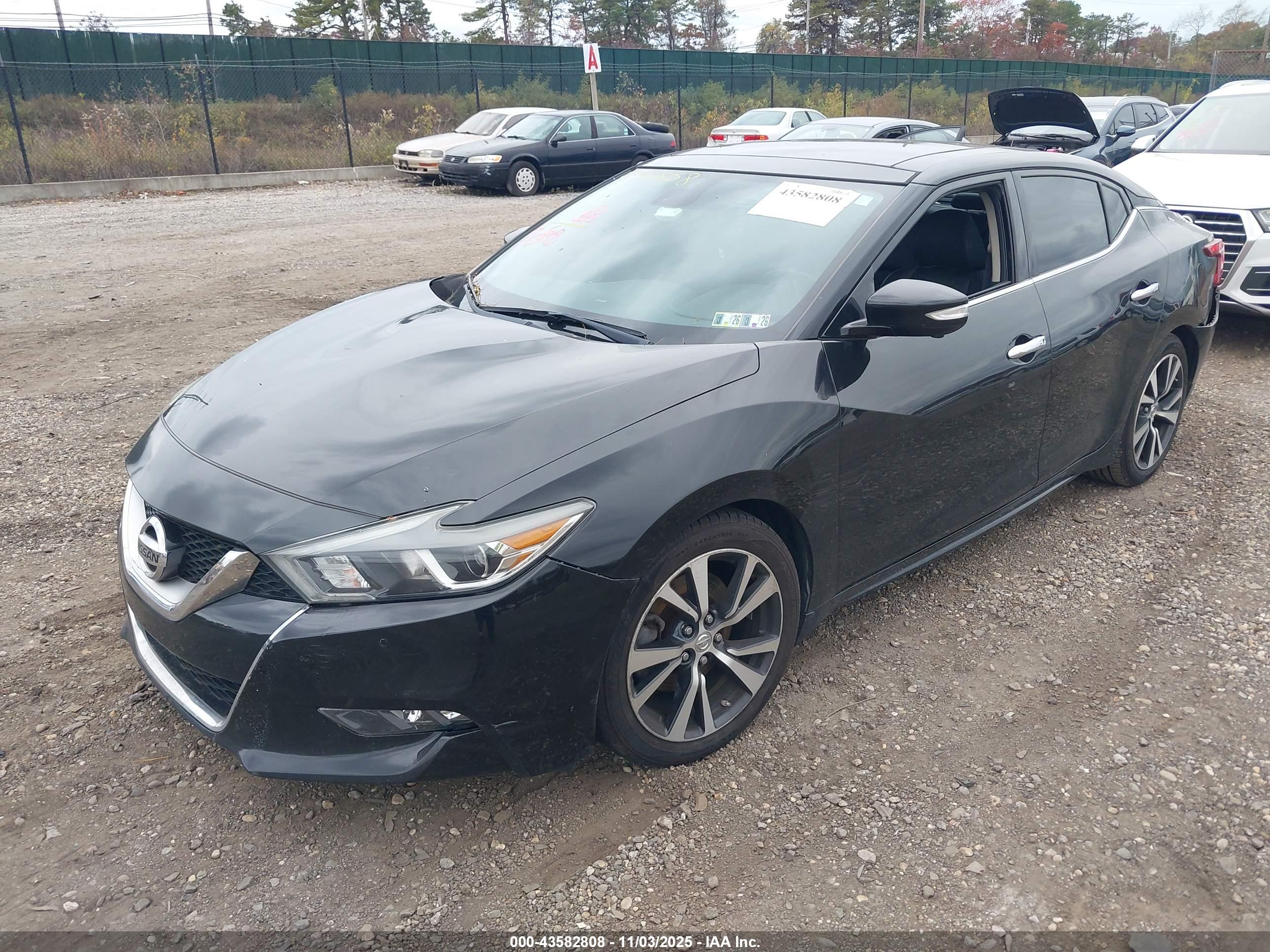 NISSAN MAXIMA image 2