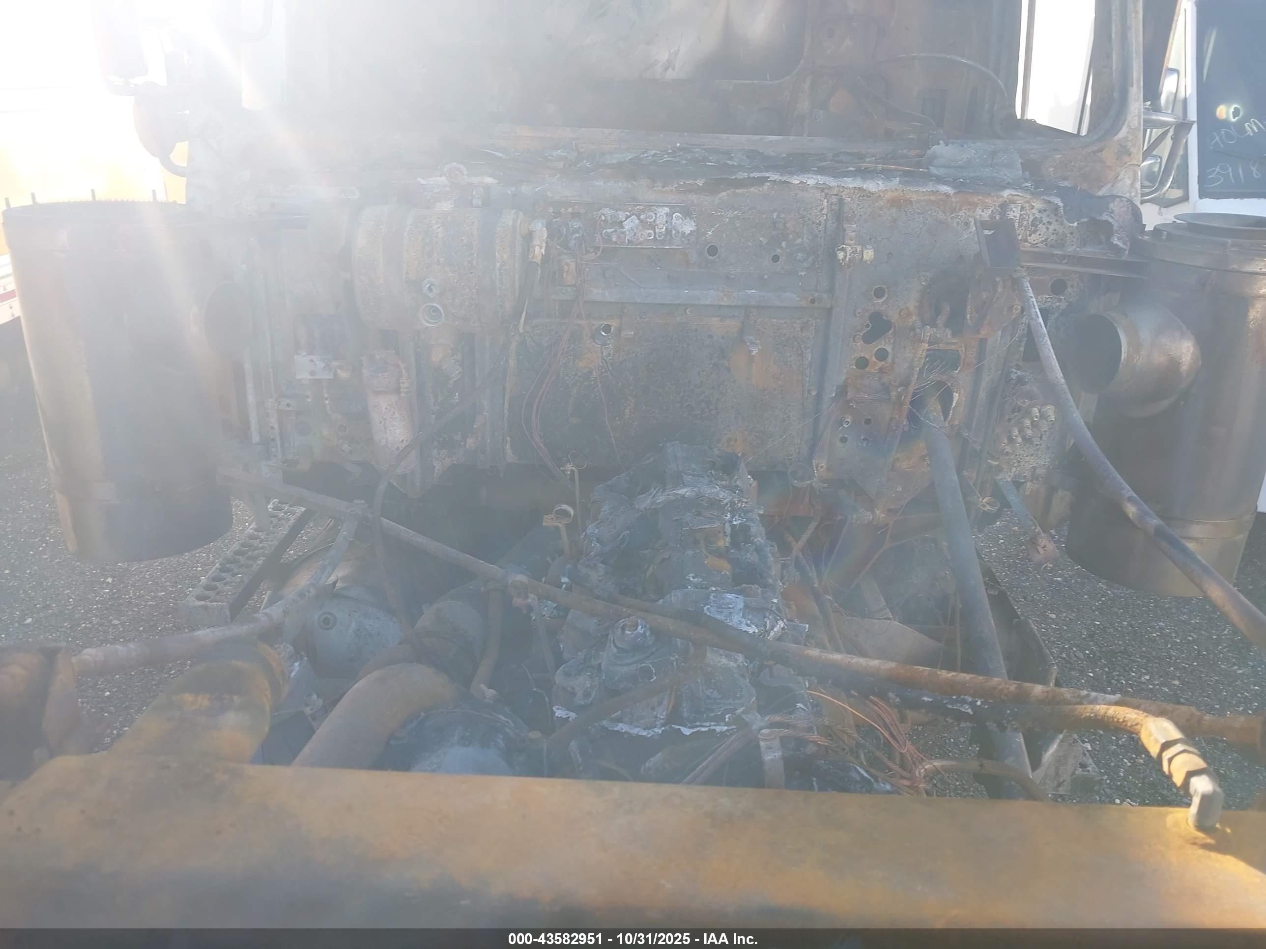 WESTERN STAR/AUTO image 10