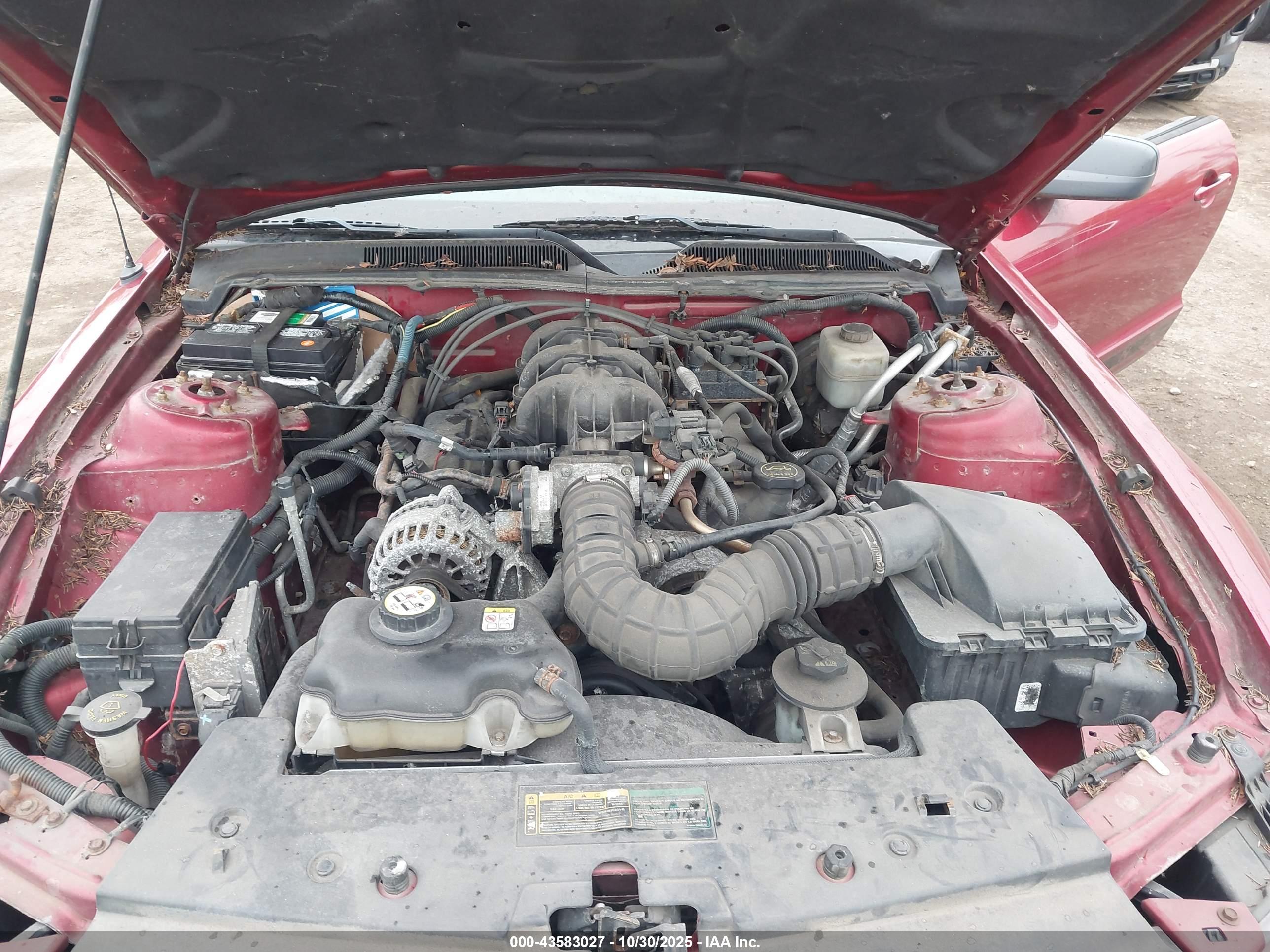 FORD MUSTANG image 10