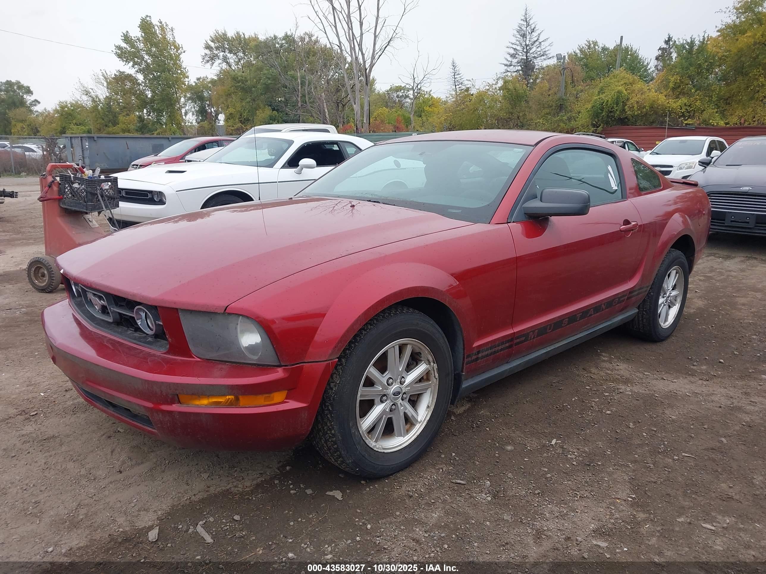 FORD MUSTANG image 2