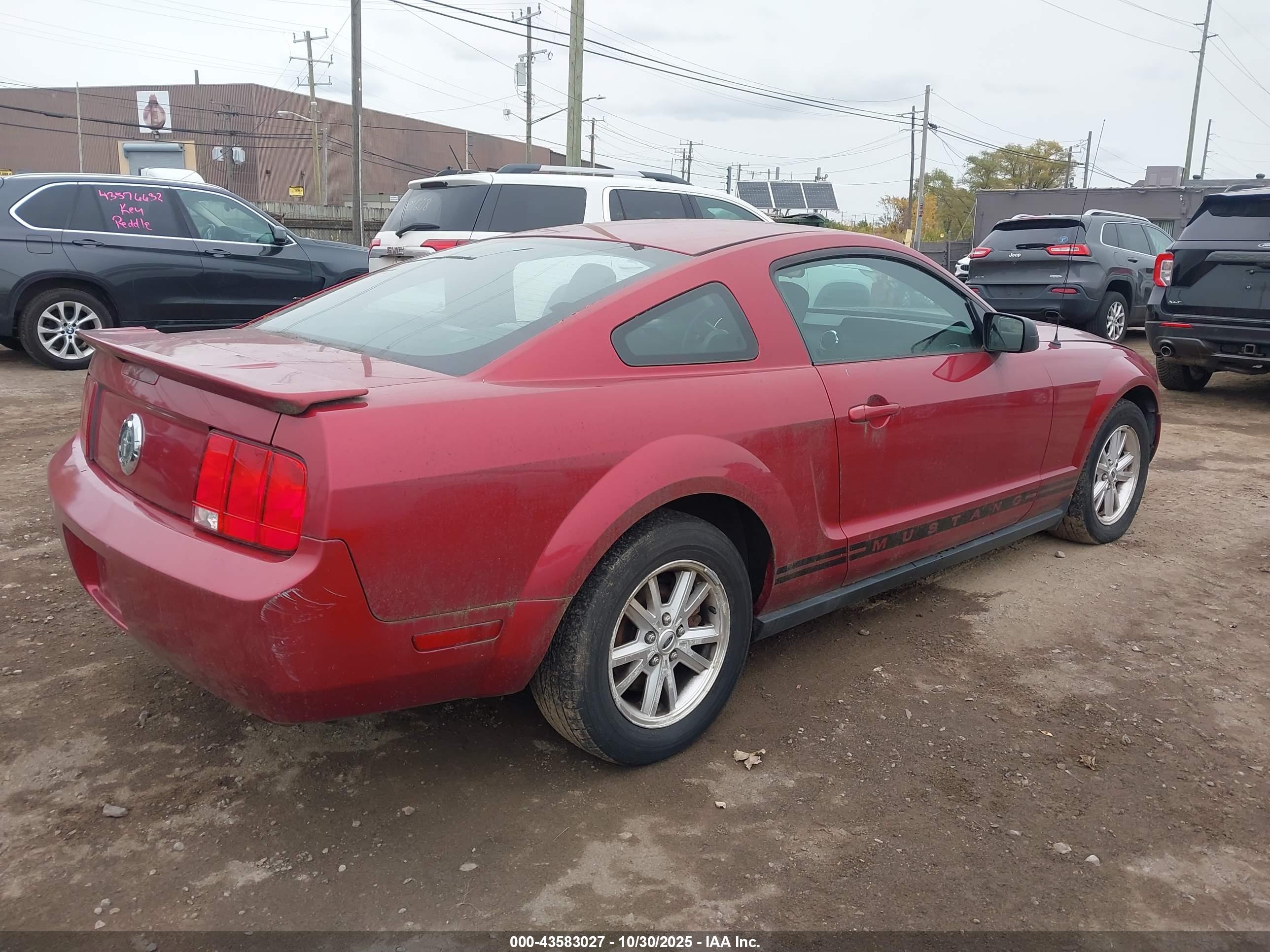 FORD MUSTANG image 4