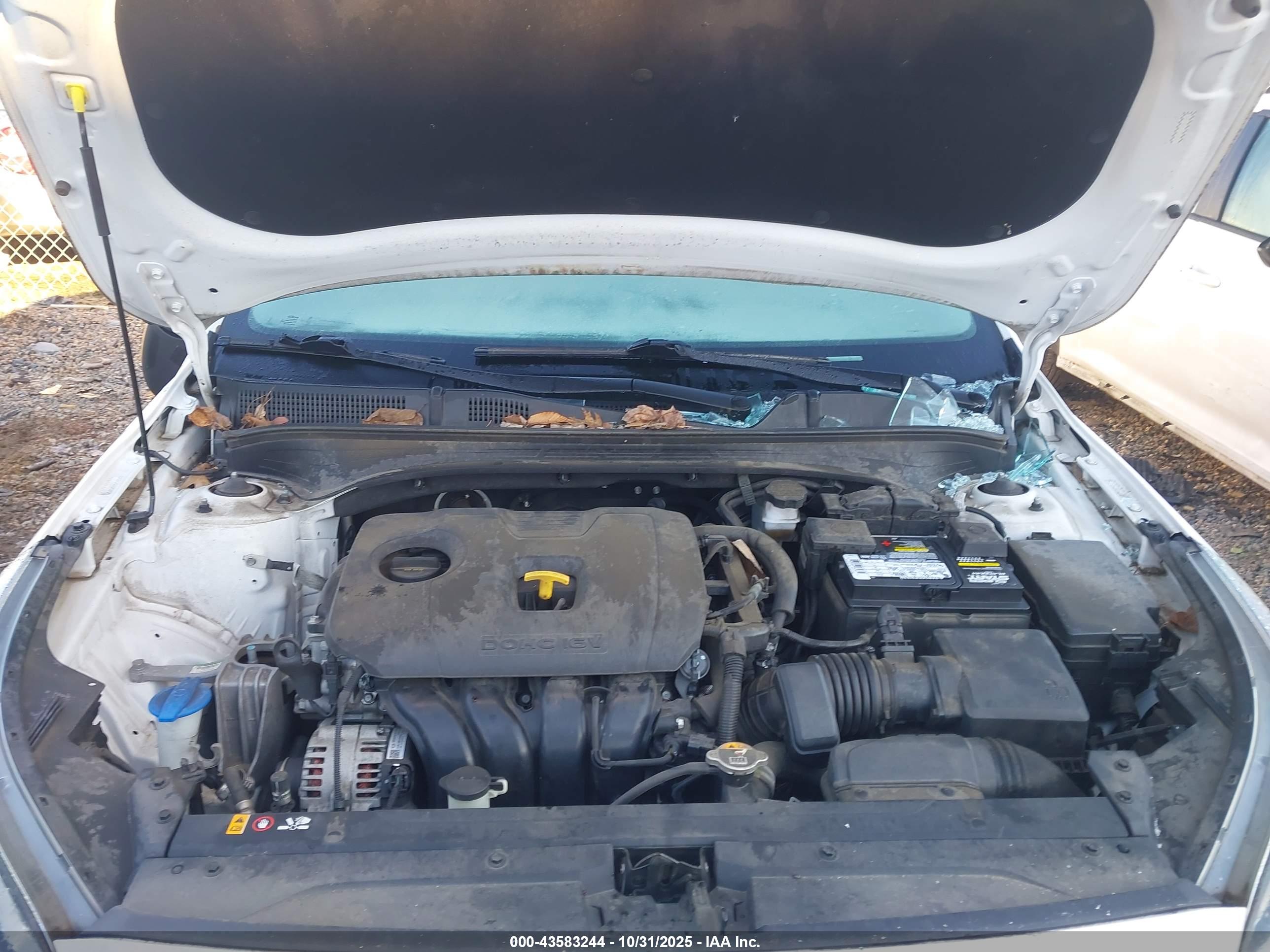 KIA FORTE image 10