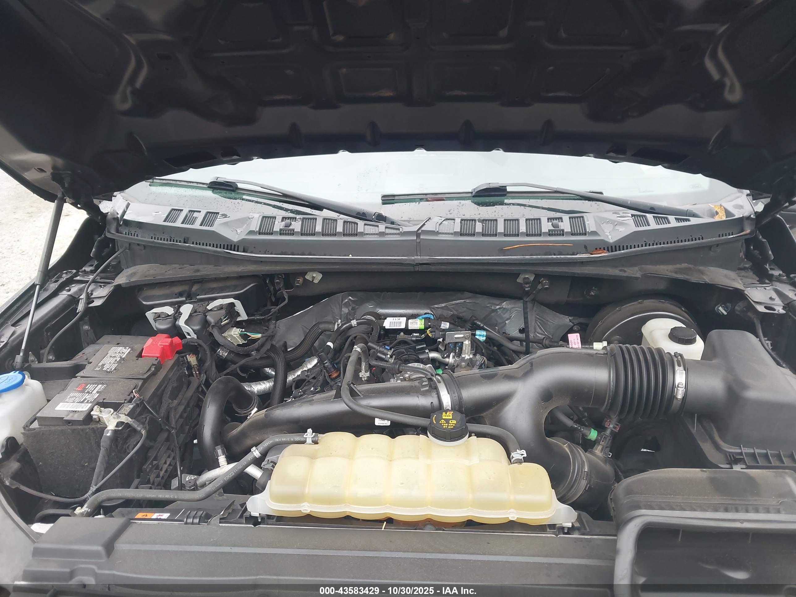 FORD F-150 image 10