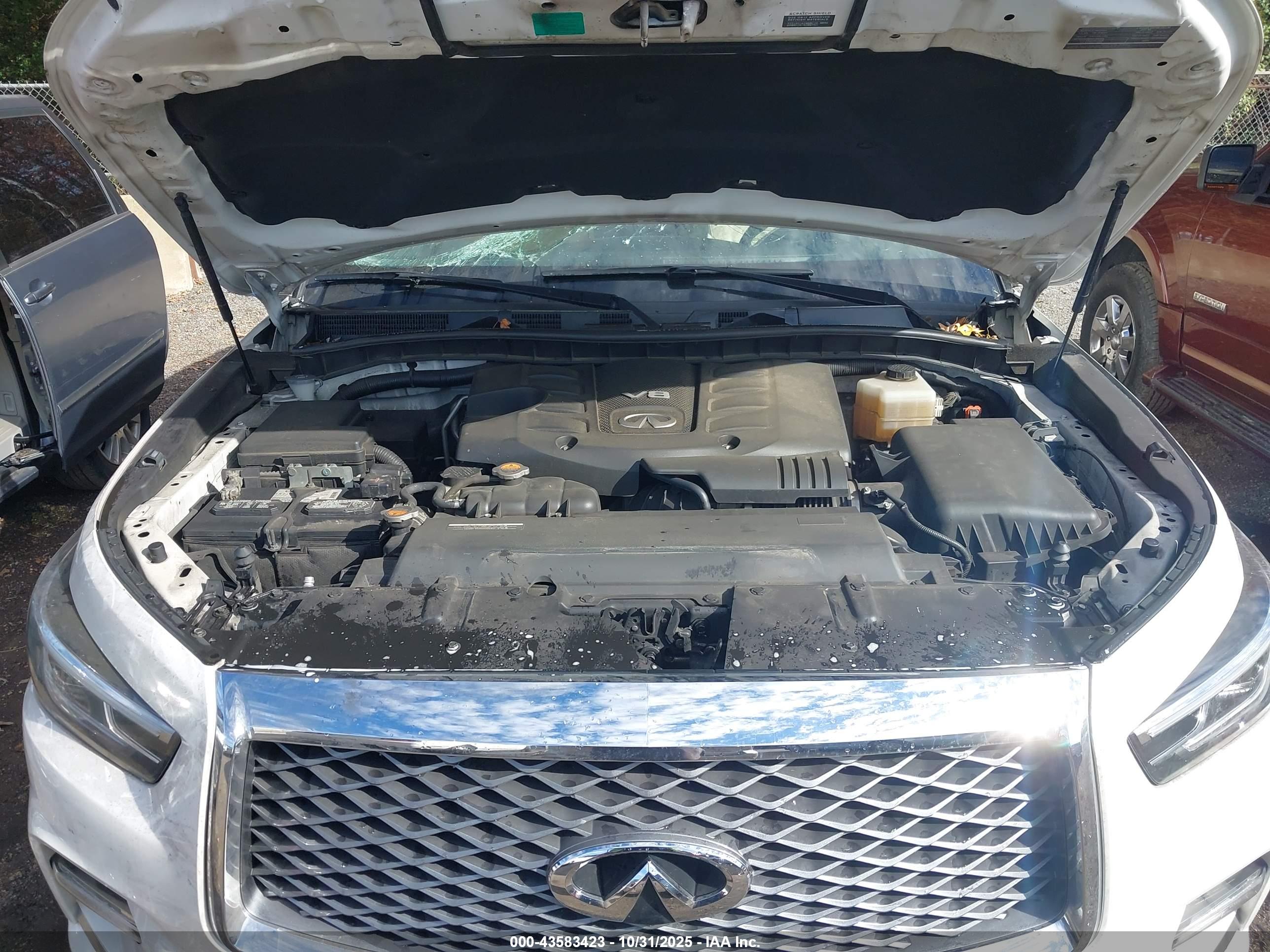 INFINITI QX80 image 10