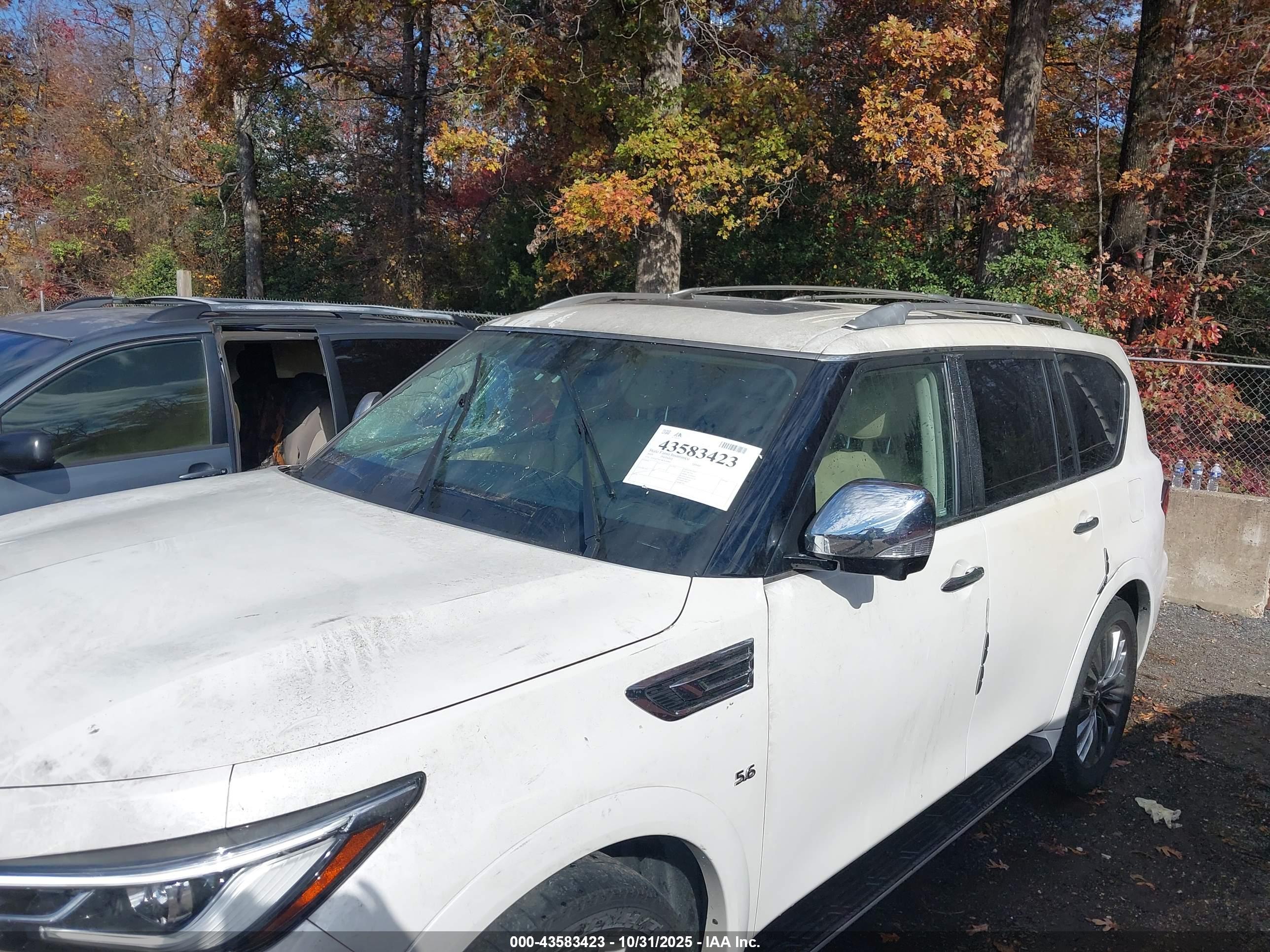 INFINITI QX80 image 6