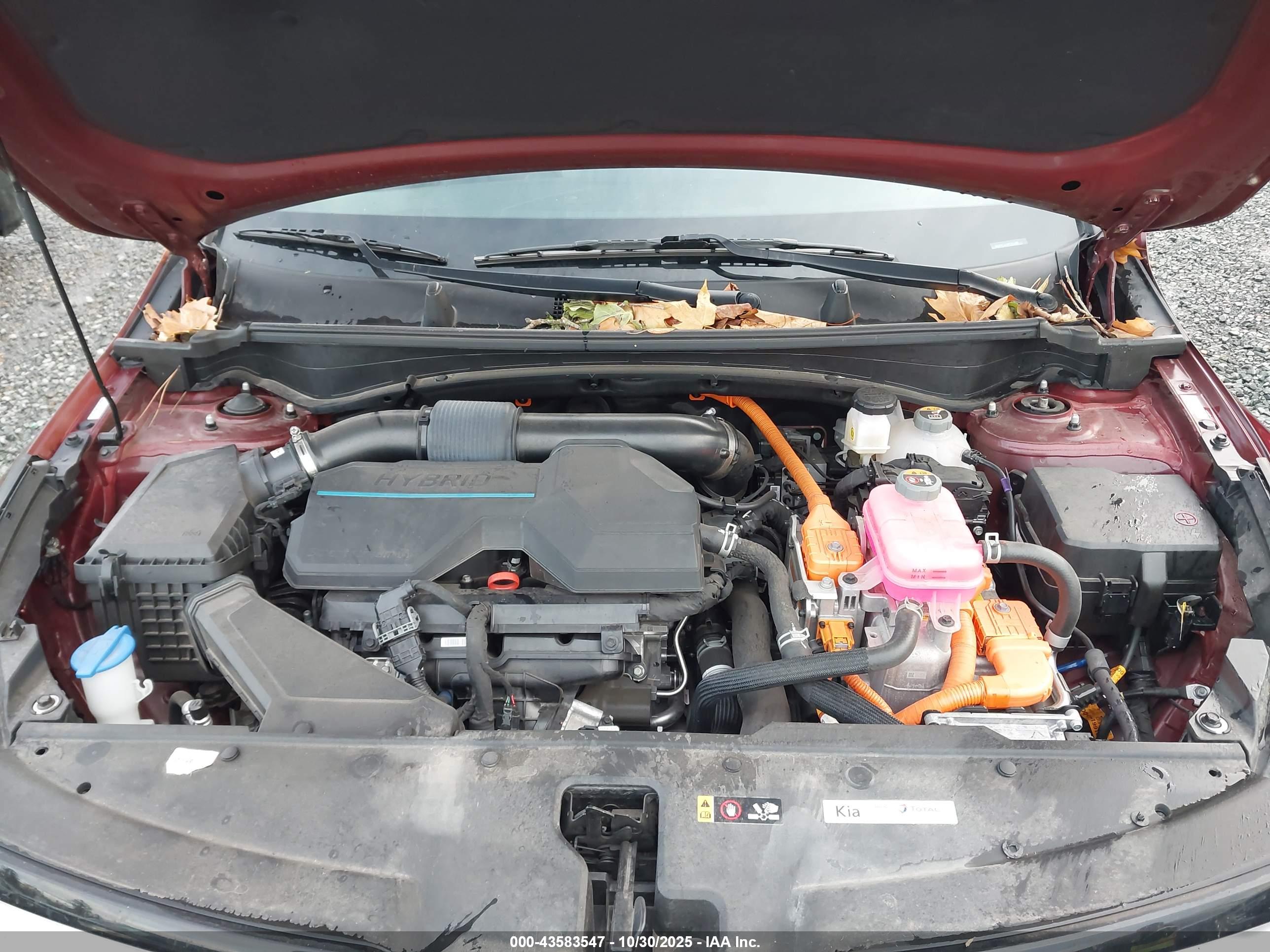 KIA SPORTAGE image 10