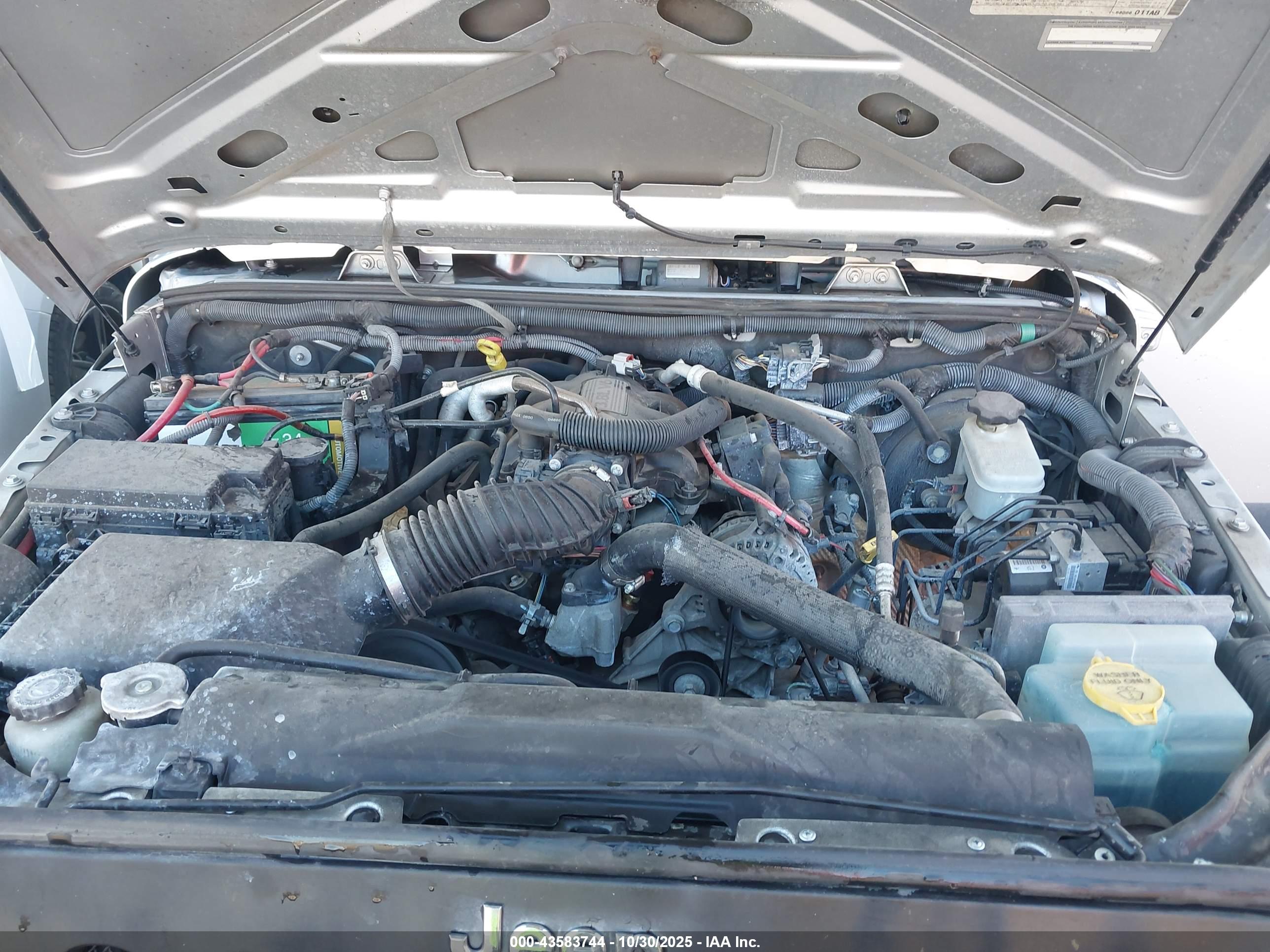 JEEP WRANGLER image 10