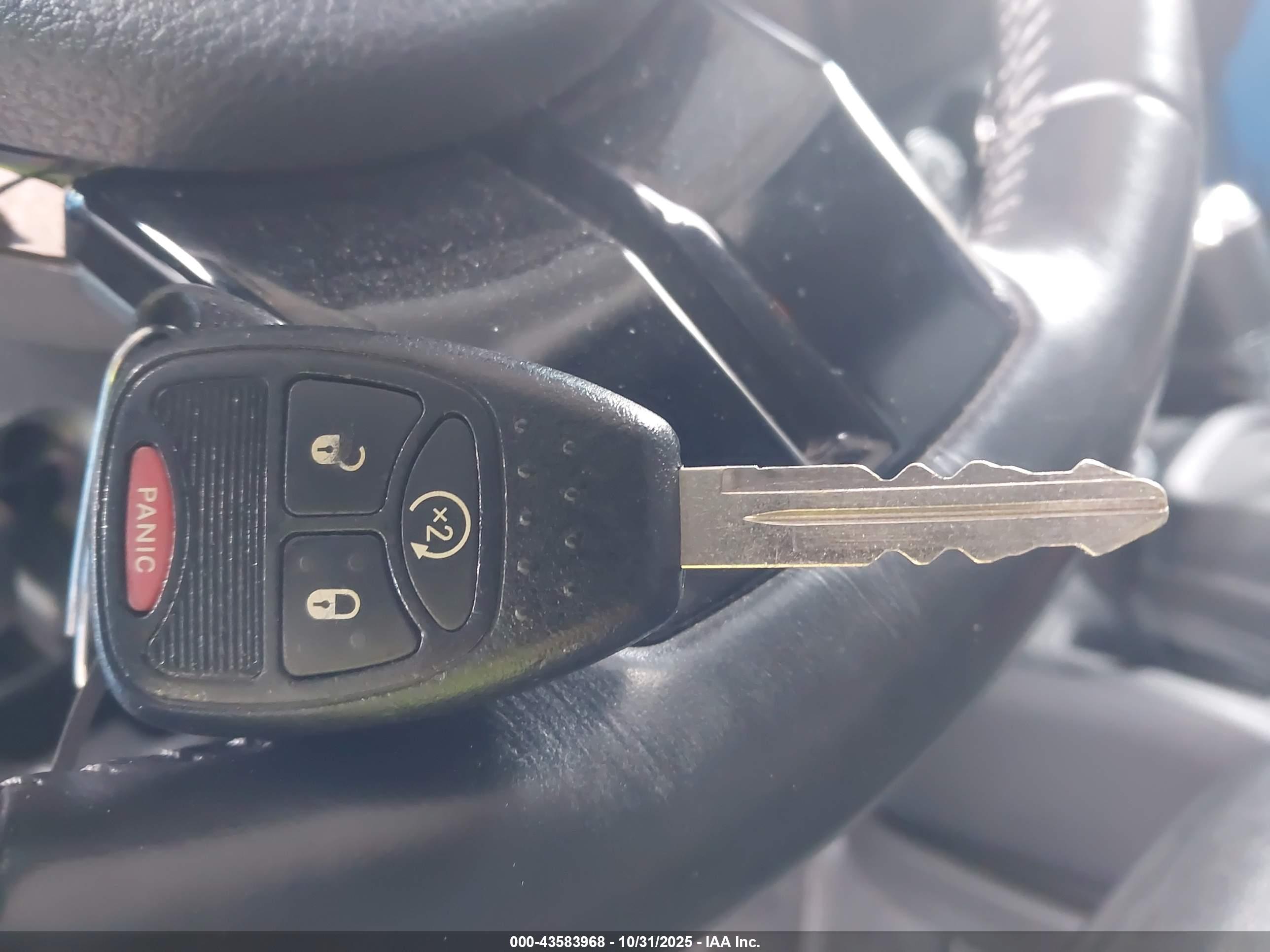 JEEP WRANGLER image 11