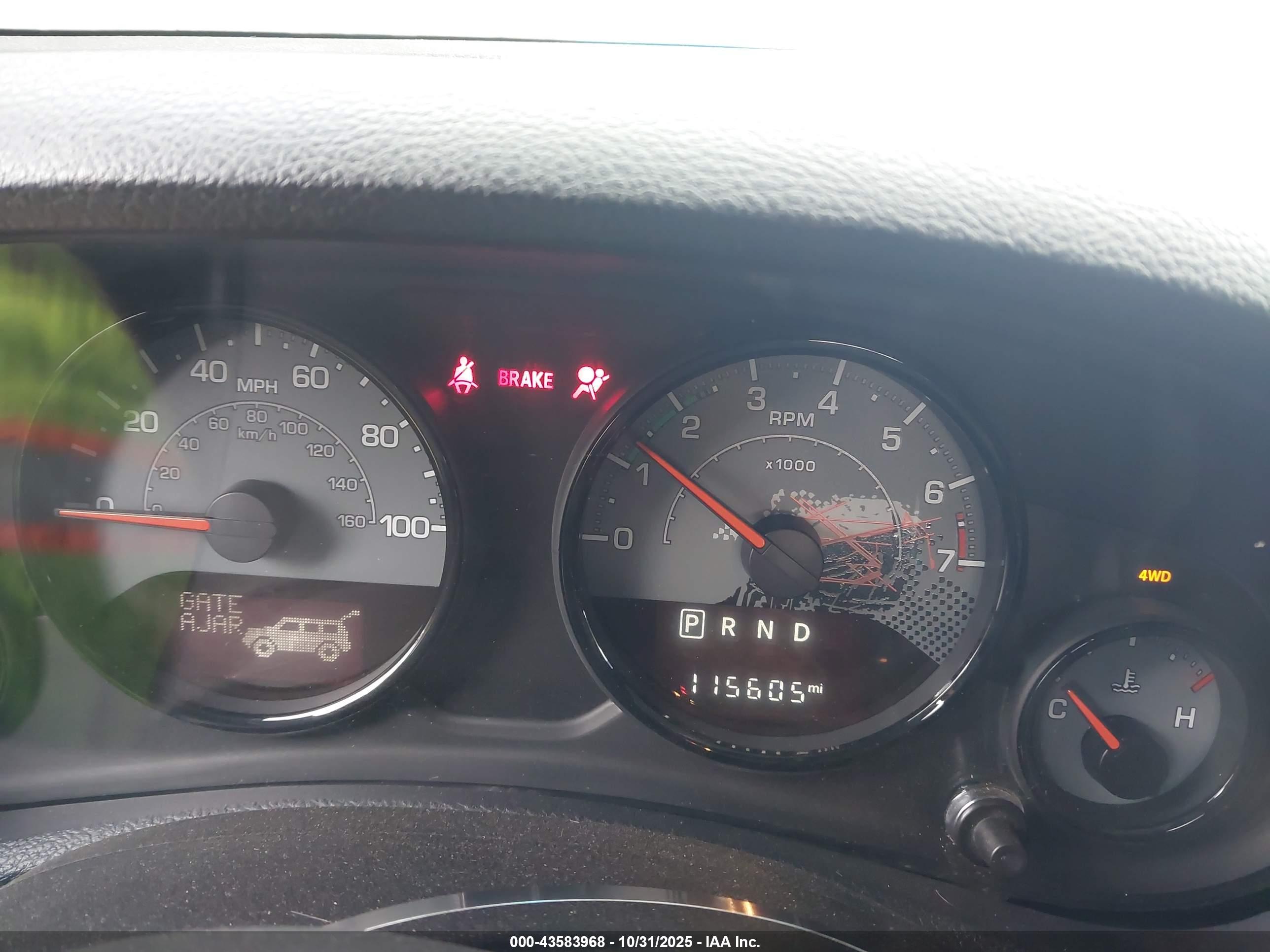 JEEP WRANGLER image 7