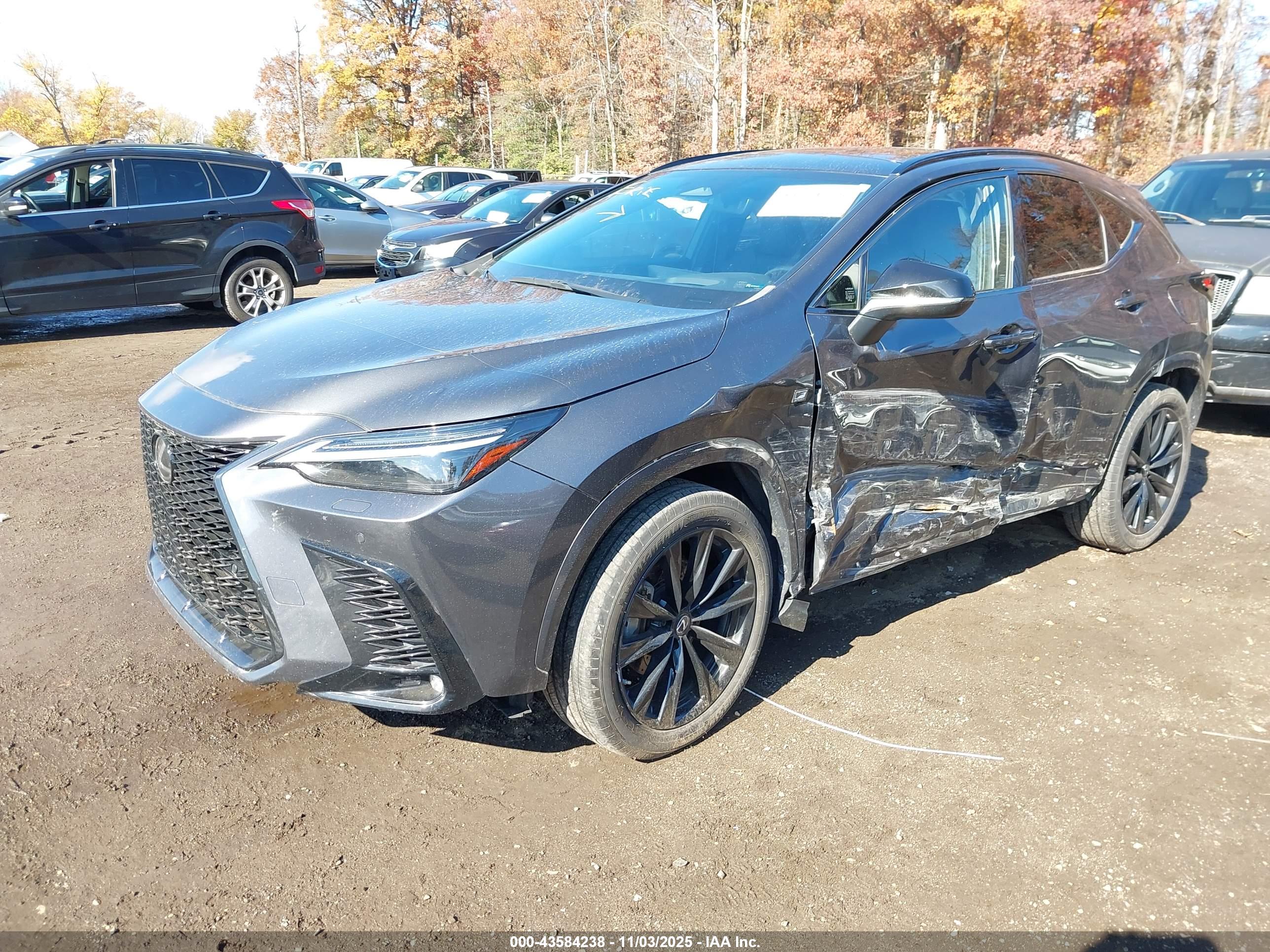LEXUS NX image 2