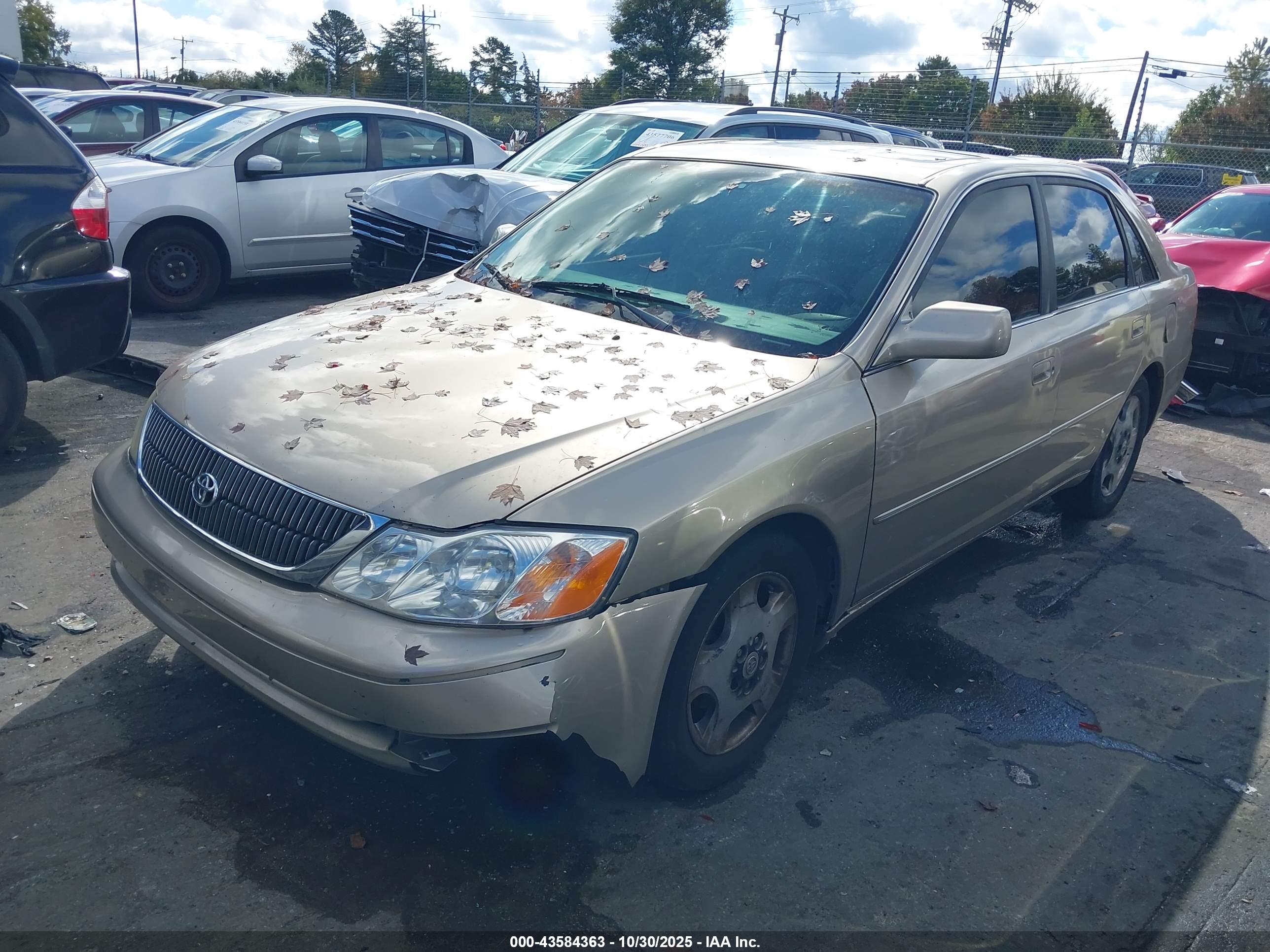 TOYOTA AVALON image 2