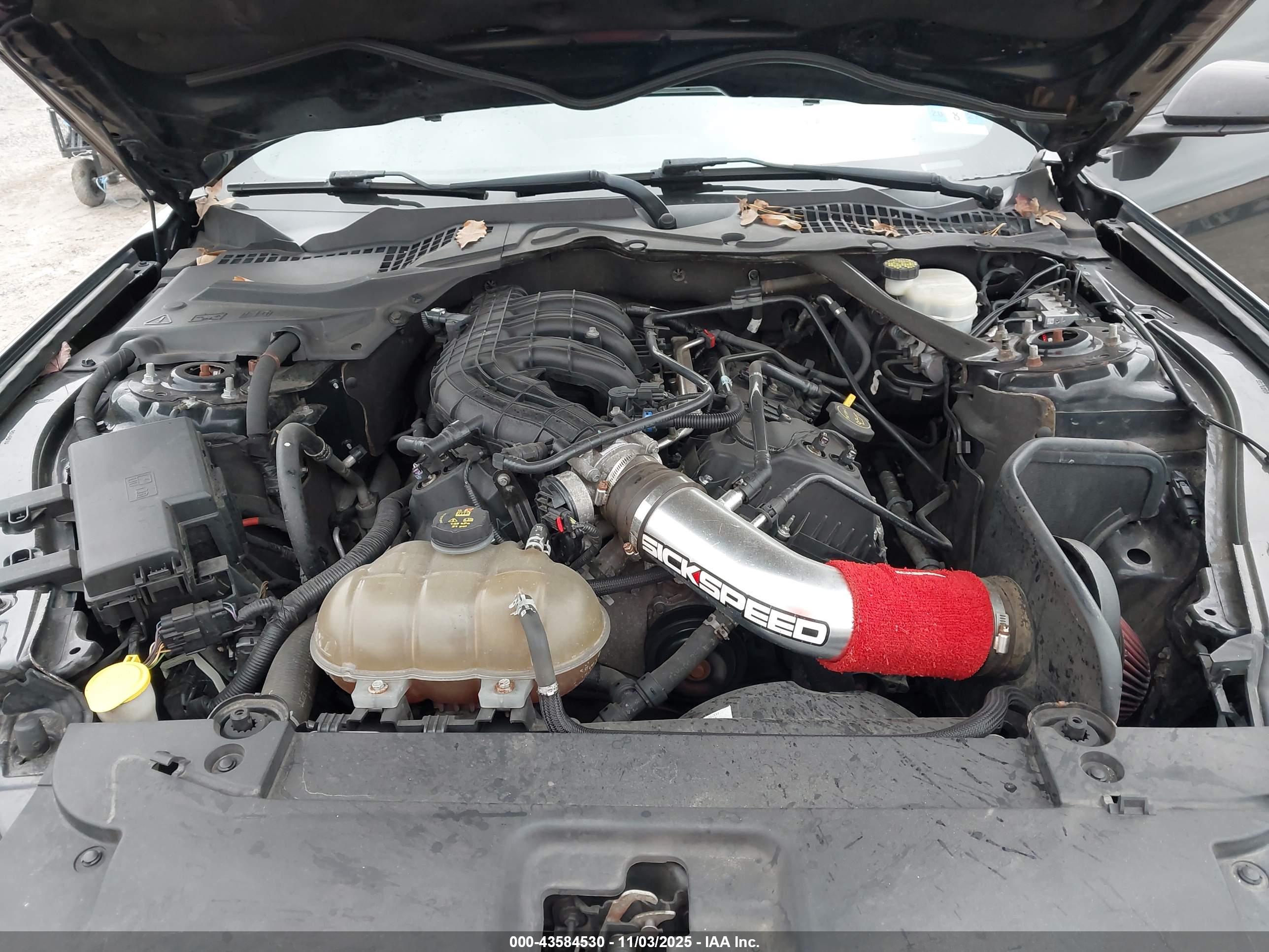 FORD MUSTANG image 10