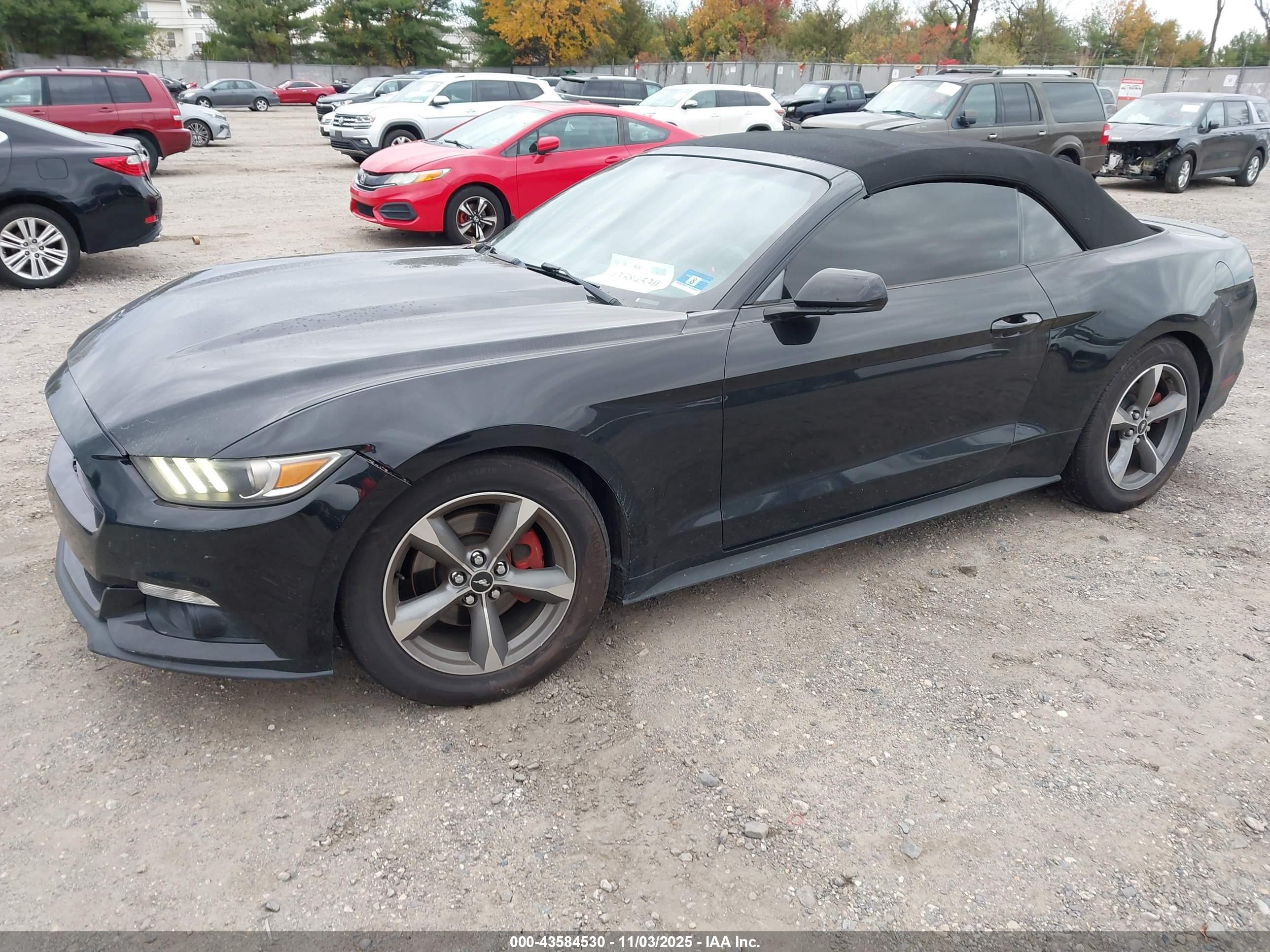 FORD MUSTANG image 2