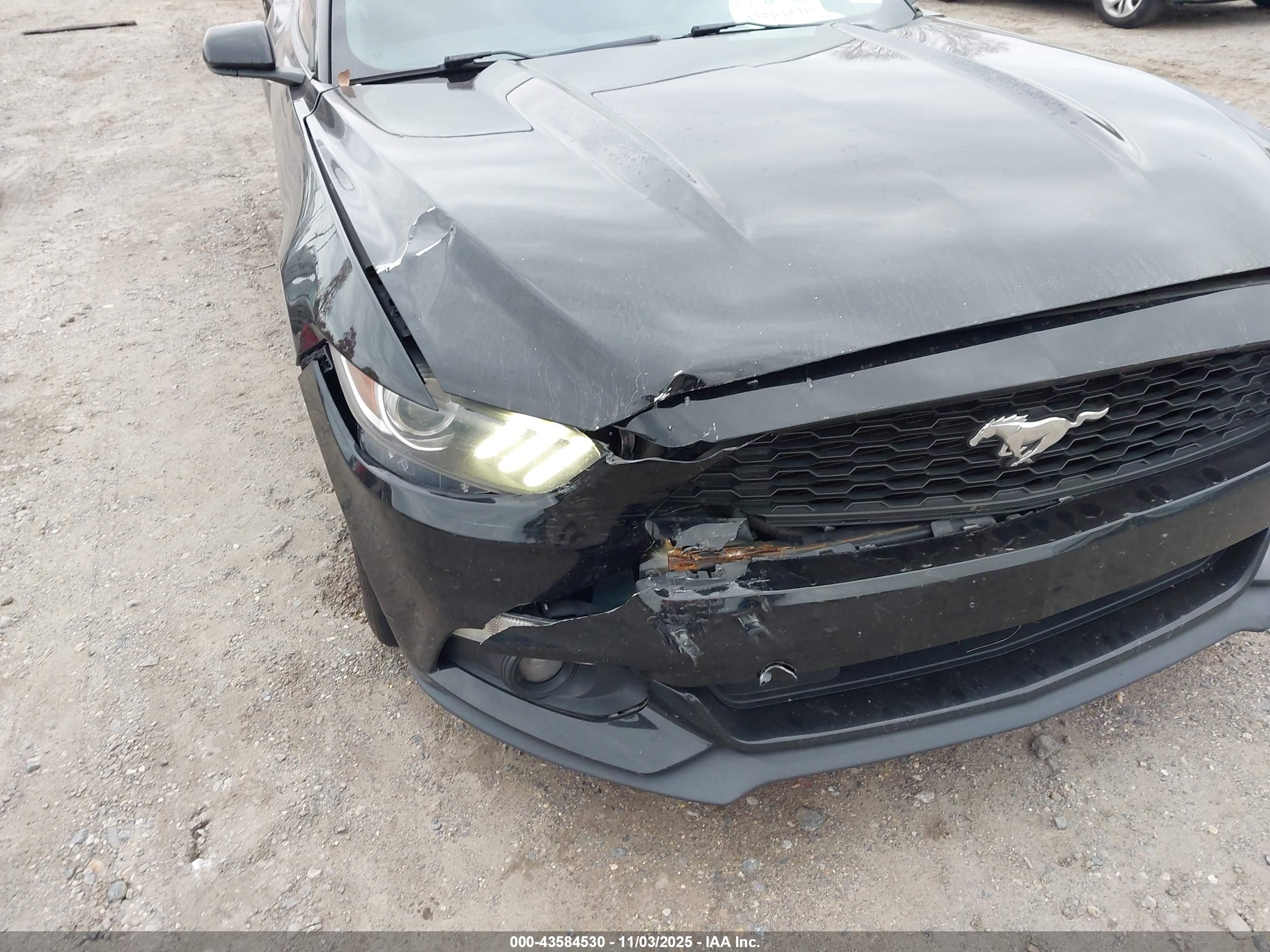 FORD MUSTANG image 6