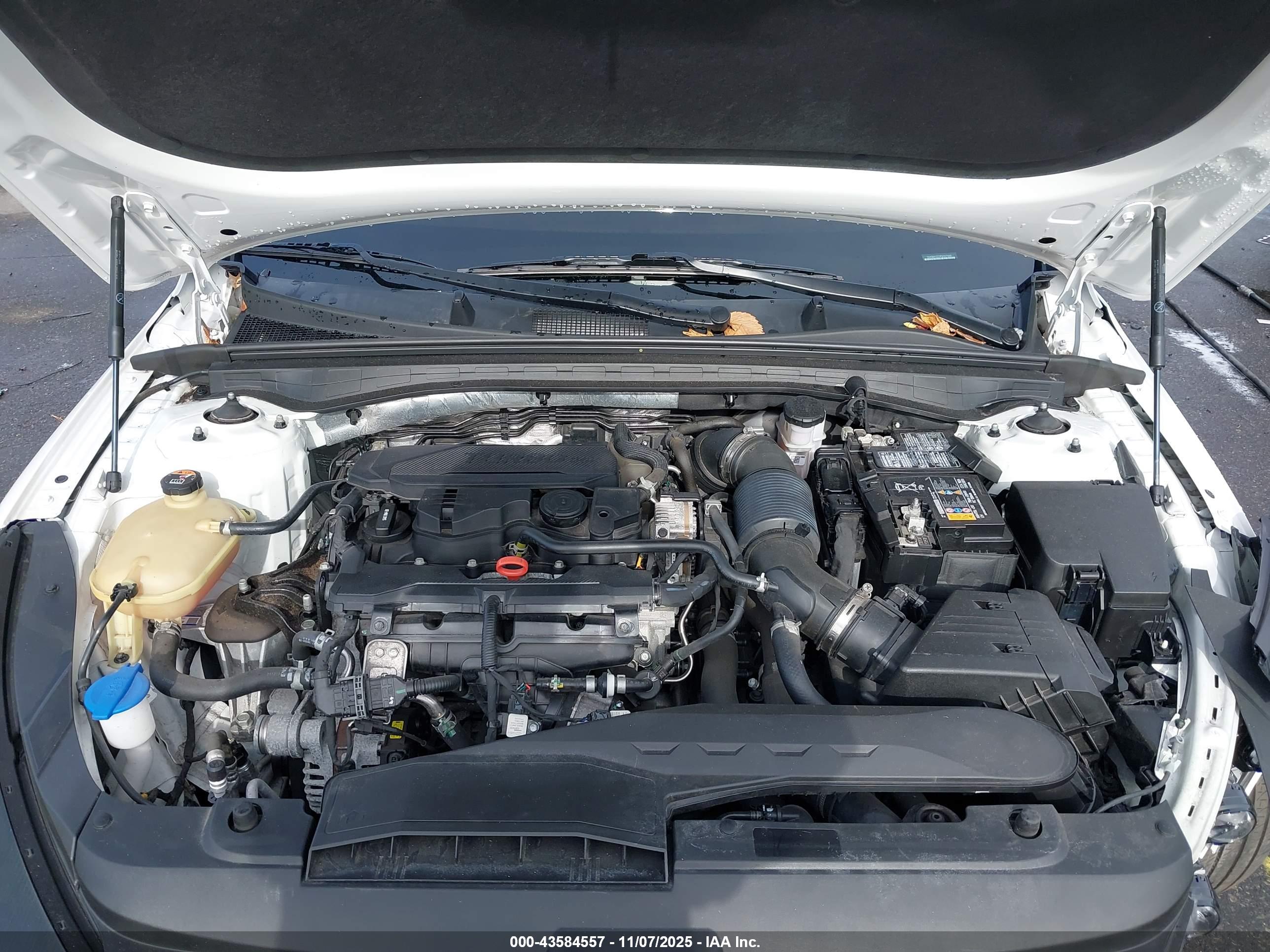 KIA K5 image 10