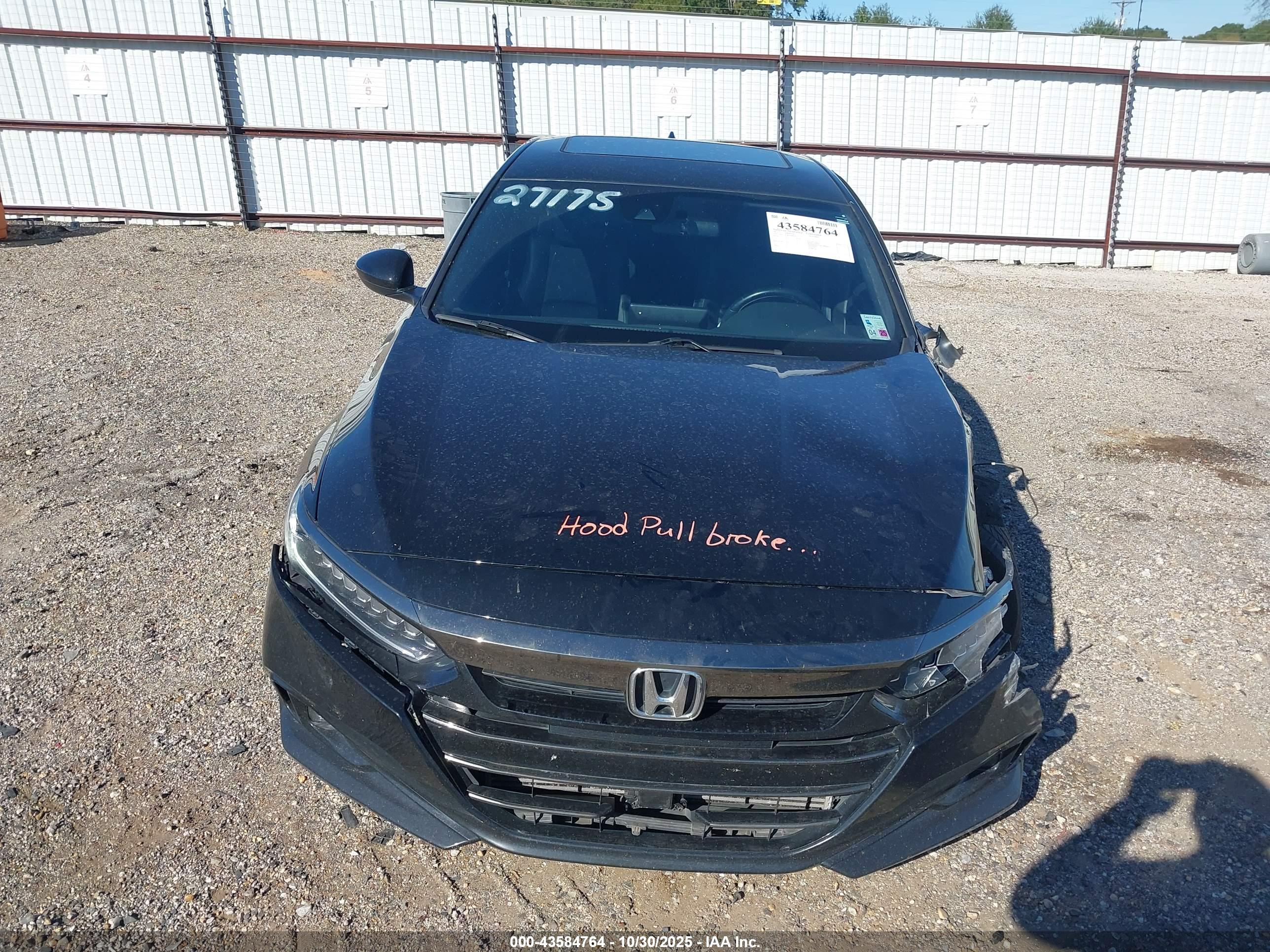 HONDA ACCORD image 10