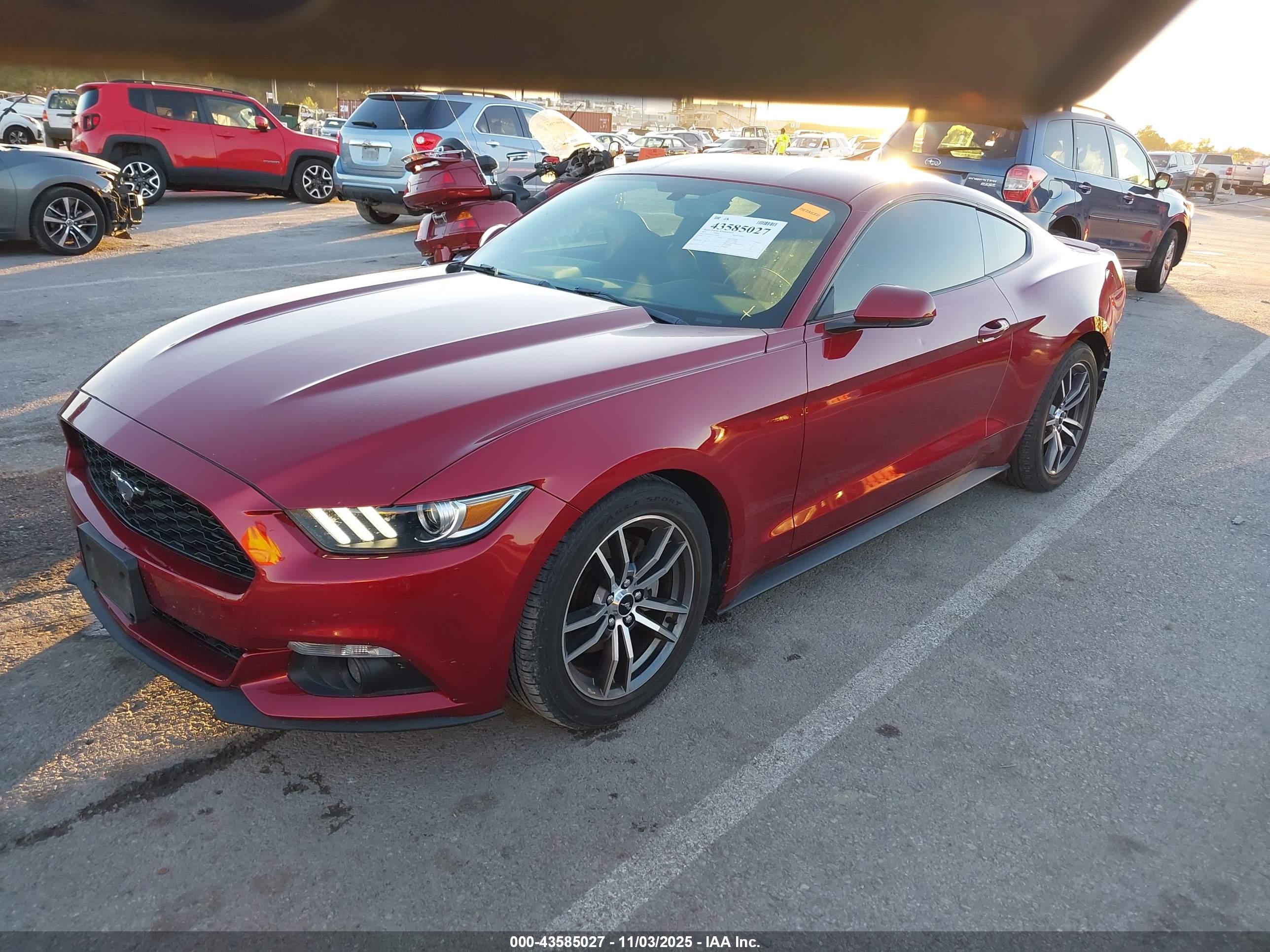 FORD MUSTANG image 2