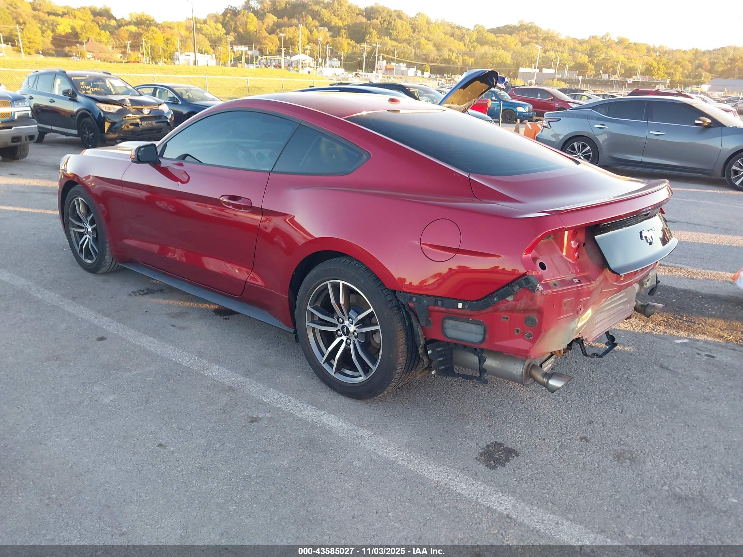 FORD MUSTANG image 3