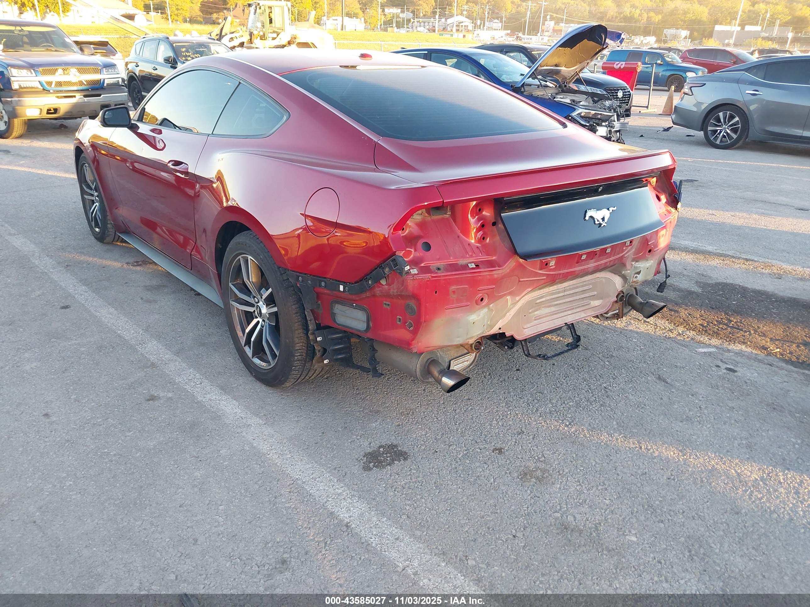 FORD MUSTANG image 6
