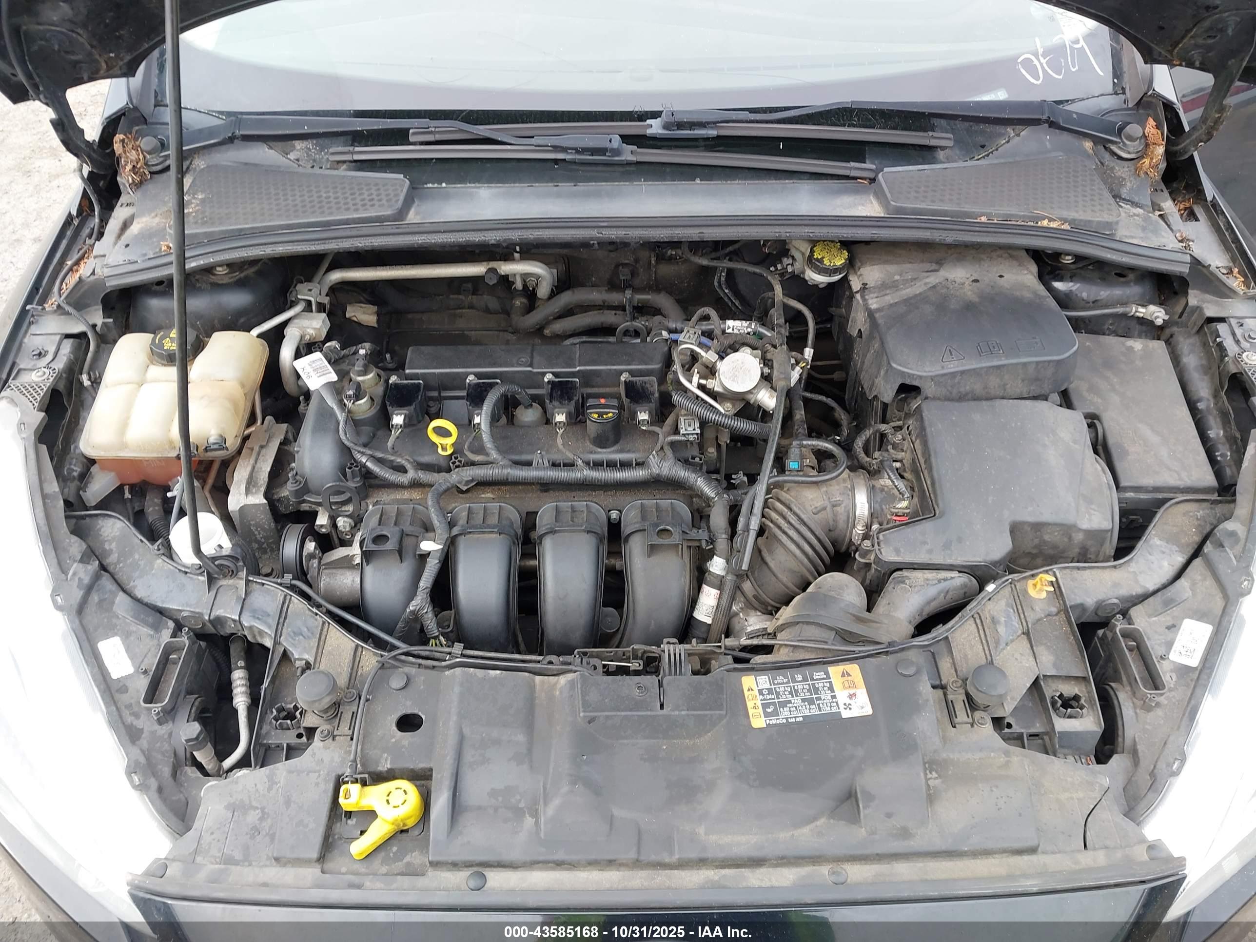 FORD FOCUS image 10