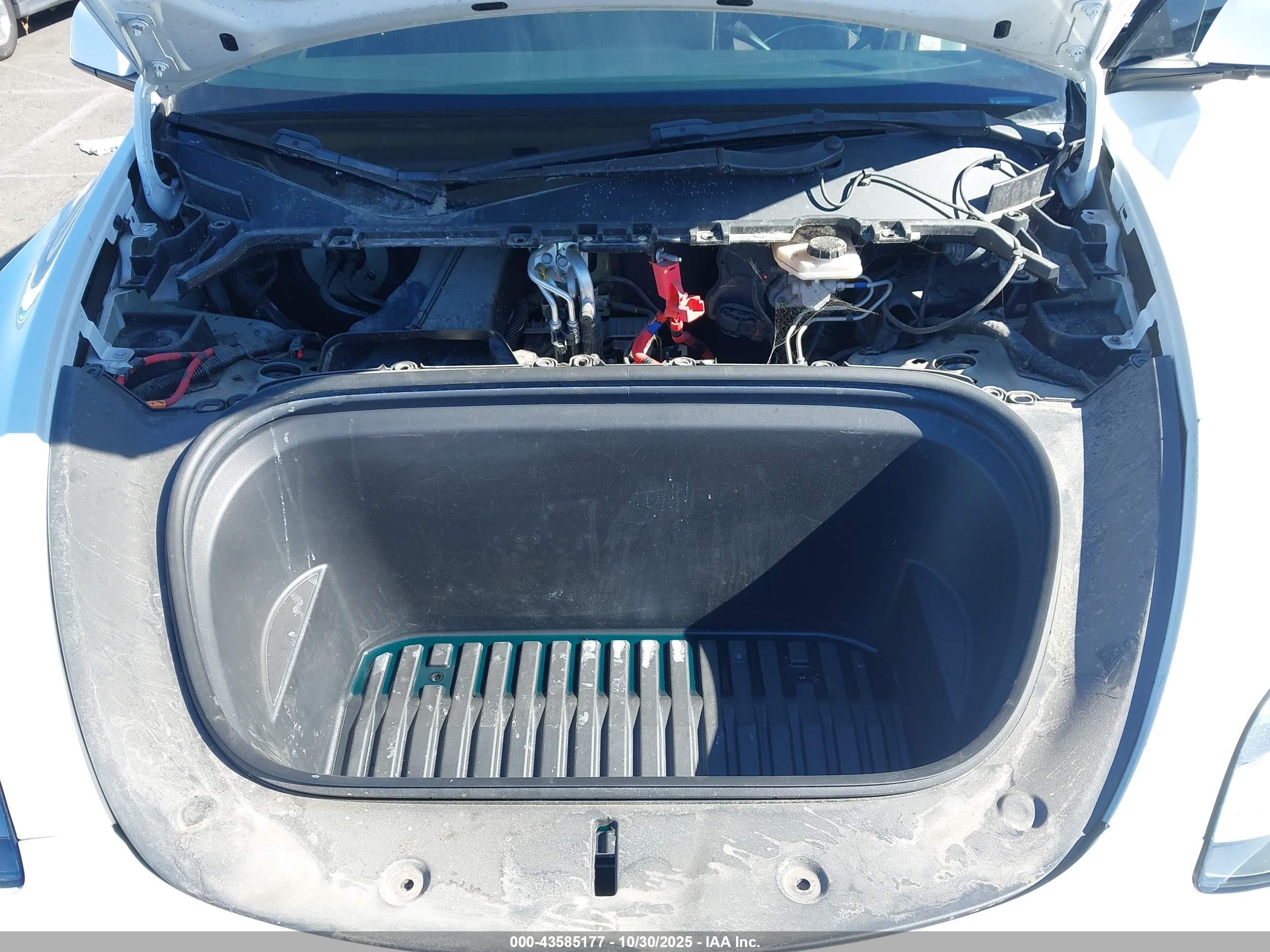 TESLA MODEL image 10
