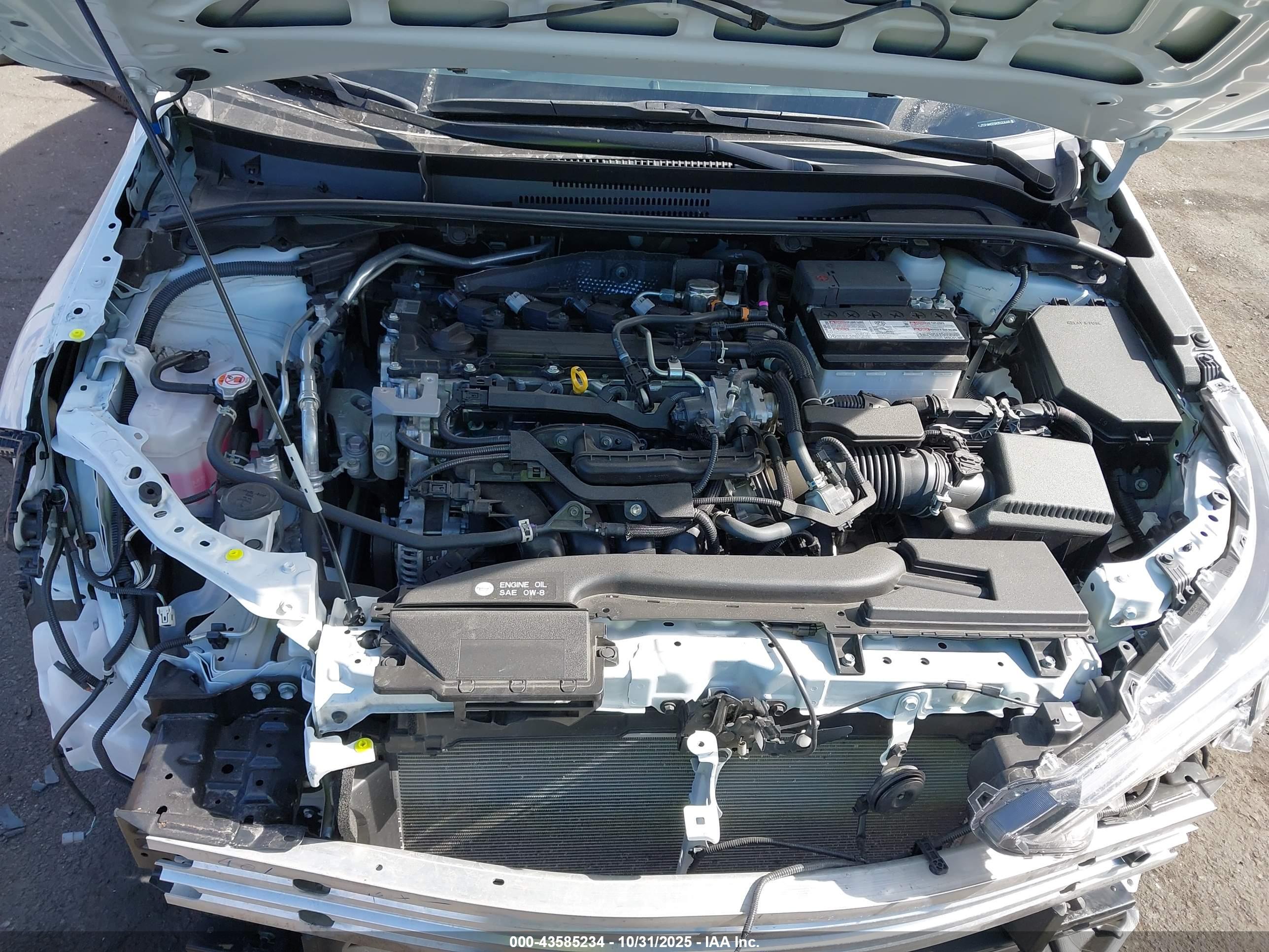 TOYOTA COROLLA image 10
