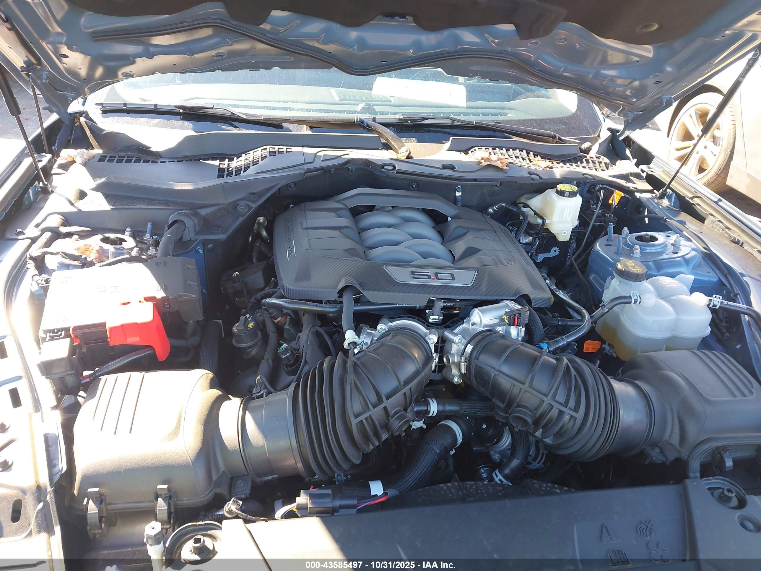 FORD MUSTANG image 10