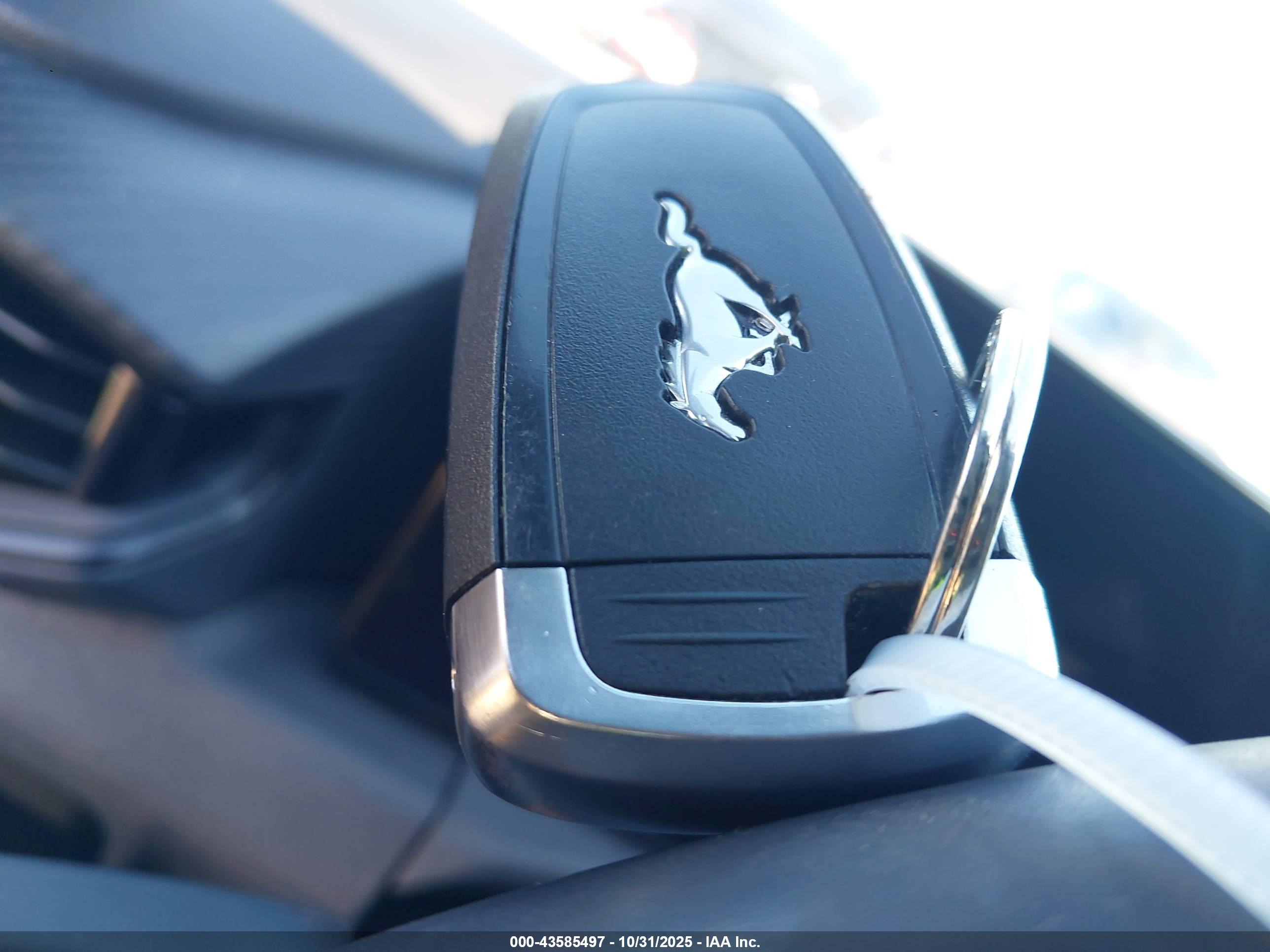 FORD MUSTANG image 11
