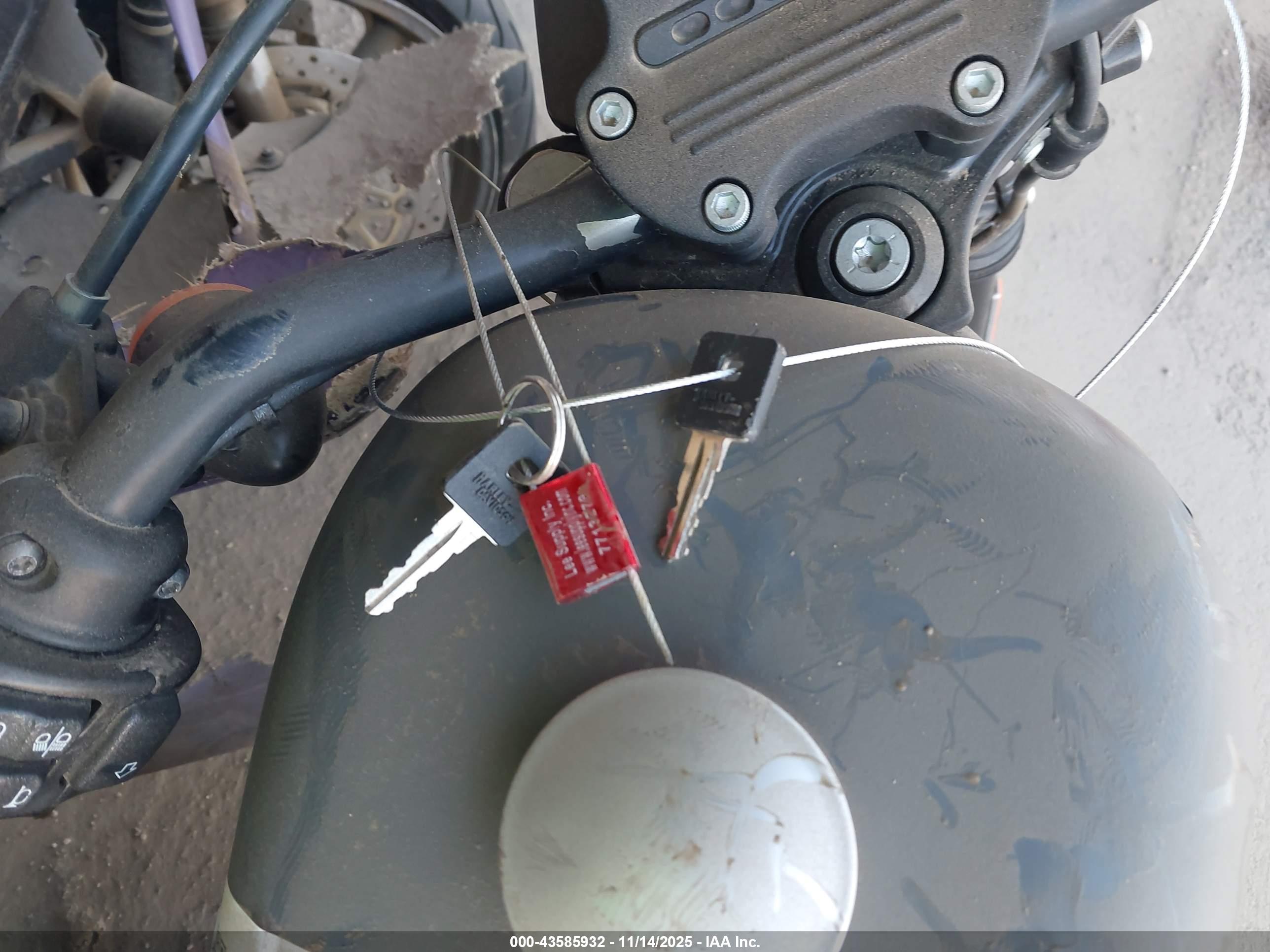 HARLEY-DAVIDSON XL883 image 11