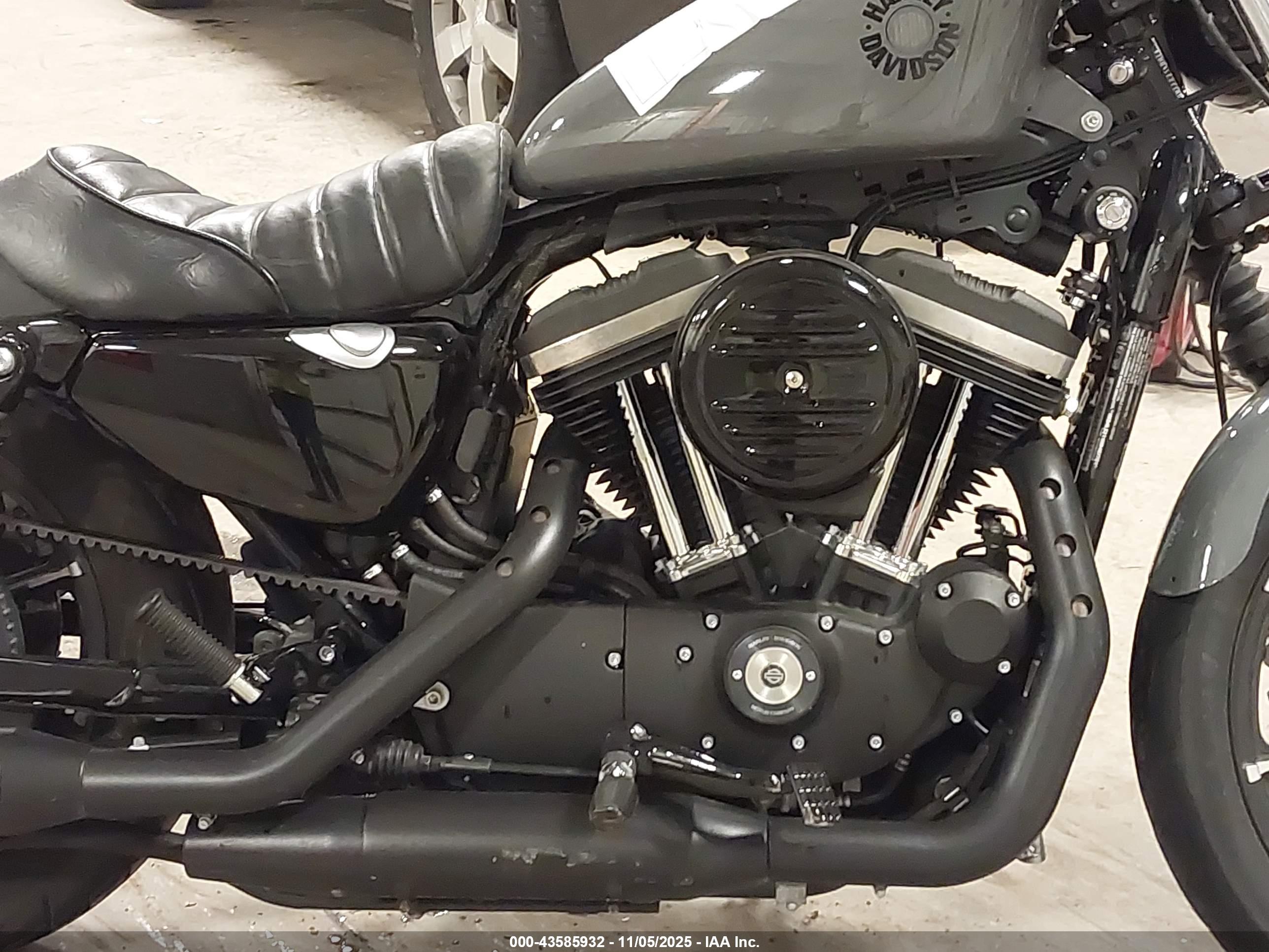 HARLEY-DAVIDSON XL883 image 8